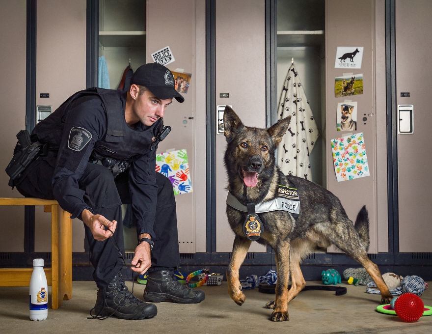 谁还不是个宝宝 凶悍警犬的搞怪日常