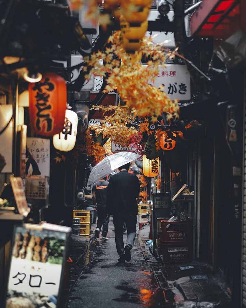 红叶点缀的日本街头 浪漫宁静的街巷