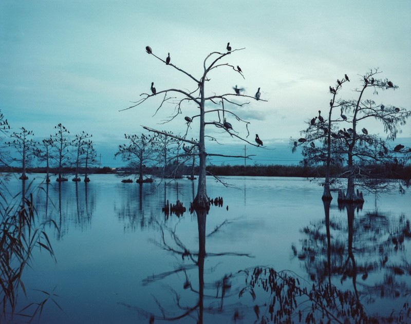 水对他们意味着什么？2019徕卡巴纳克摄影大奖作品