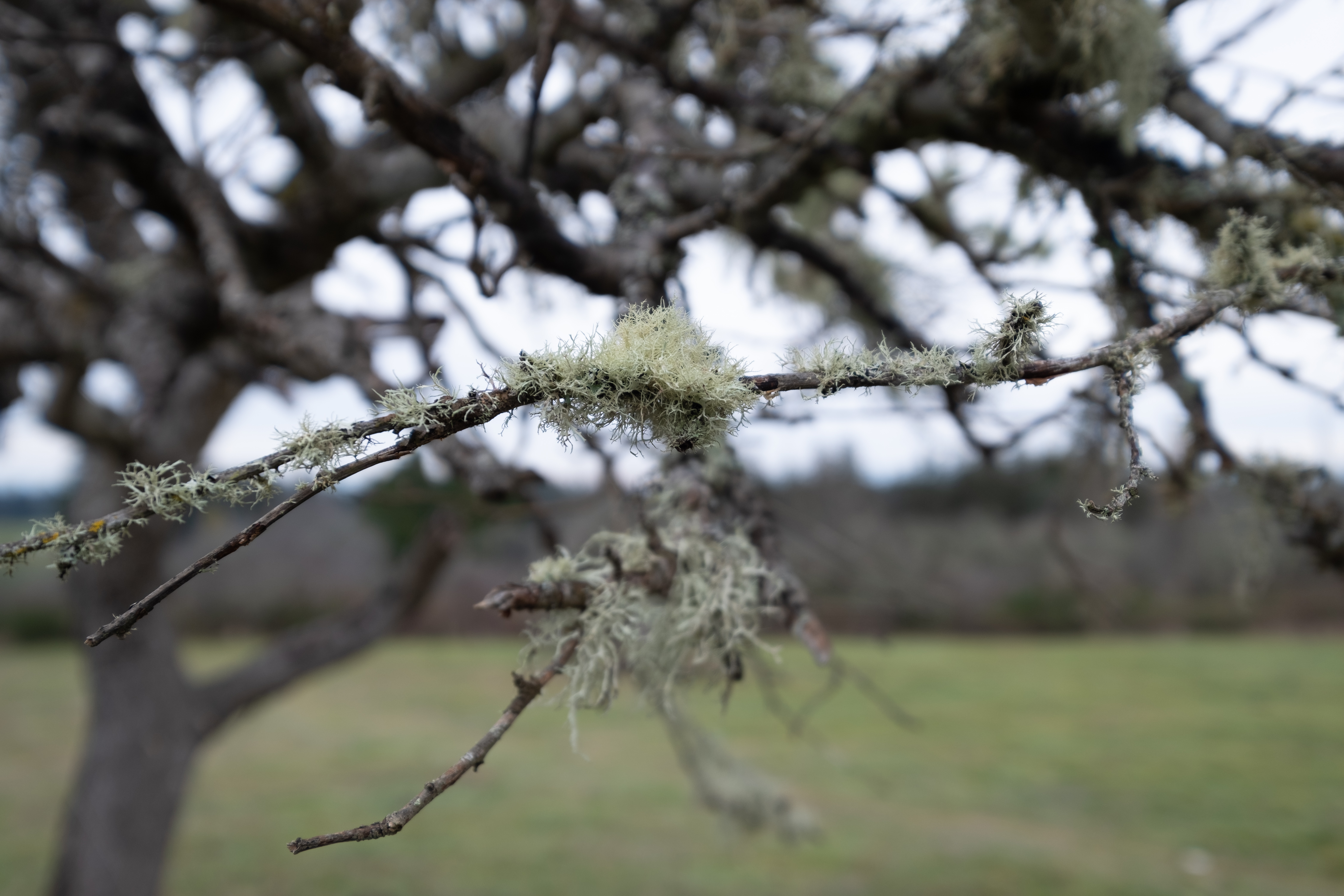 Ч15-36mm ʿXF 10-24mm F4