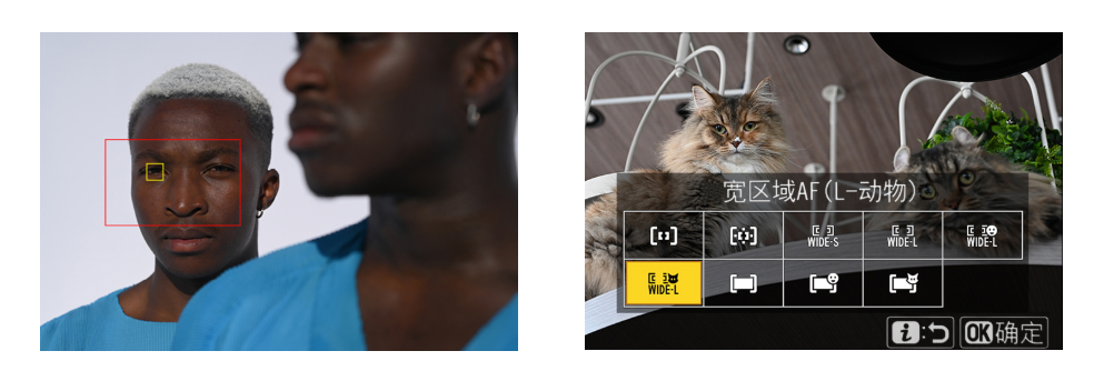 һ῵ʽ д῵Z 6II/Z 7II֮