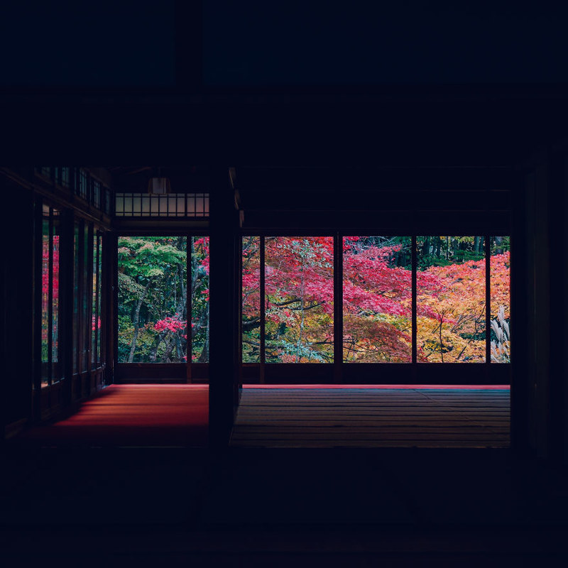 古典韵味的京都秋日 红黄点缀的温润秋色