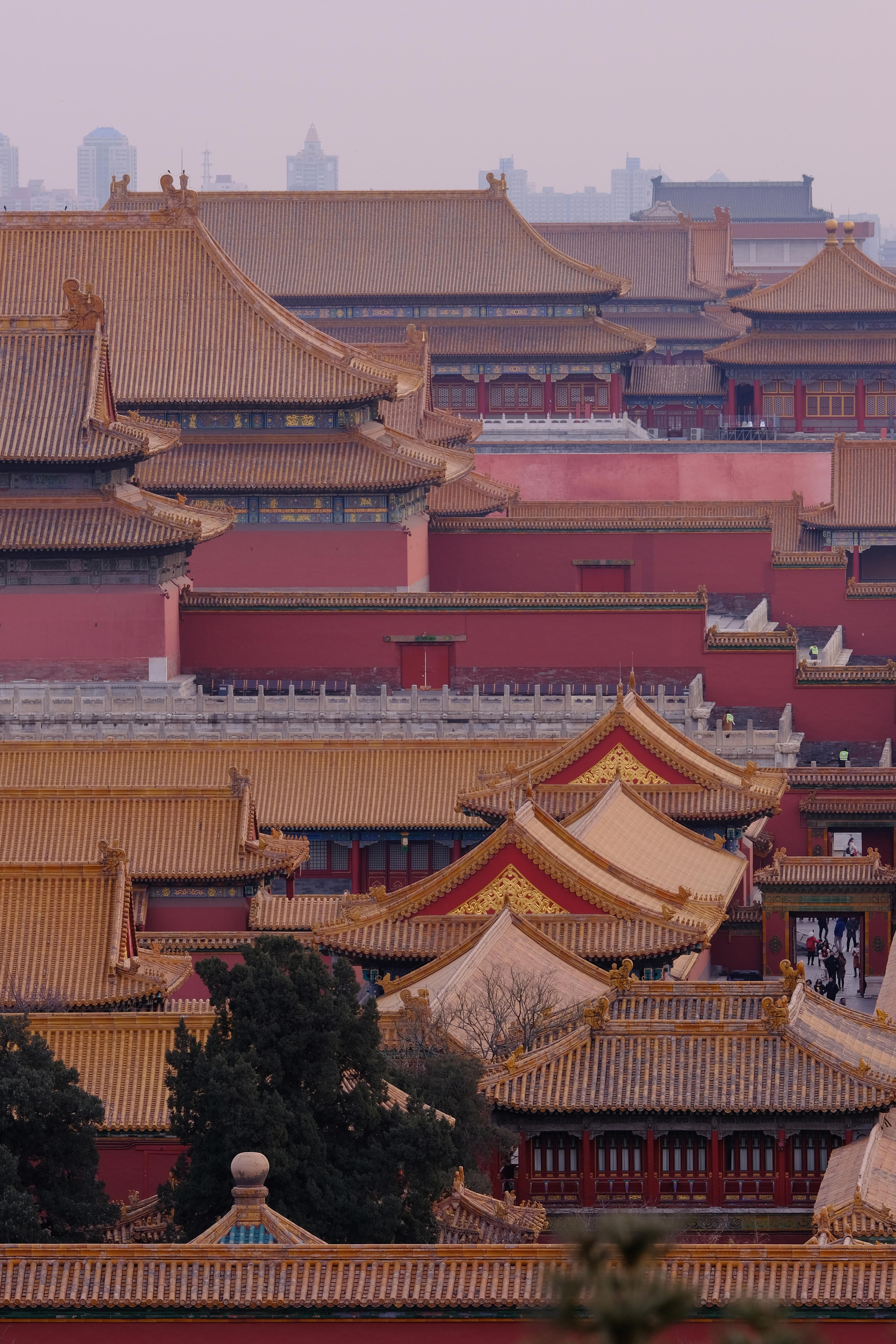 龵ͷĶ С鸻ʿ200mm F2