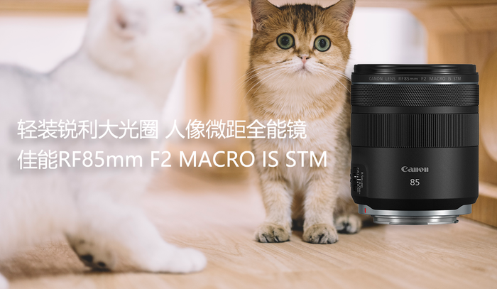 װȦ ΢ȫܾ RF85mm F2 MACRO IS STM