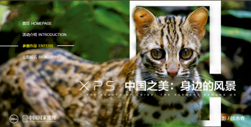 XPSй֮Ӱ͡йҵϾٰ