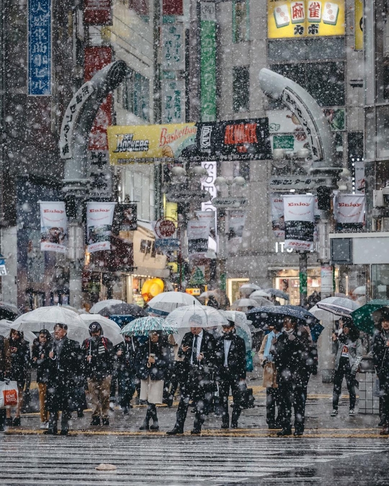 鹅毛大雪与灿烂霓虹 雪中的东京魔幻都市