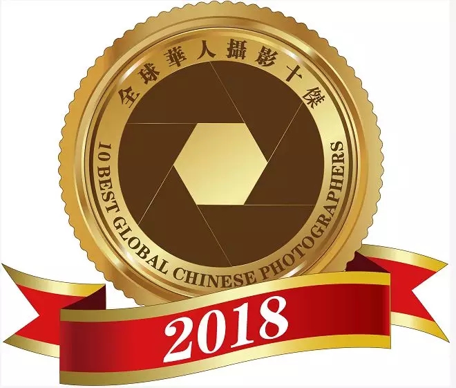 2019ȫӰʮܡѡϸ