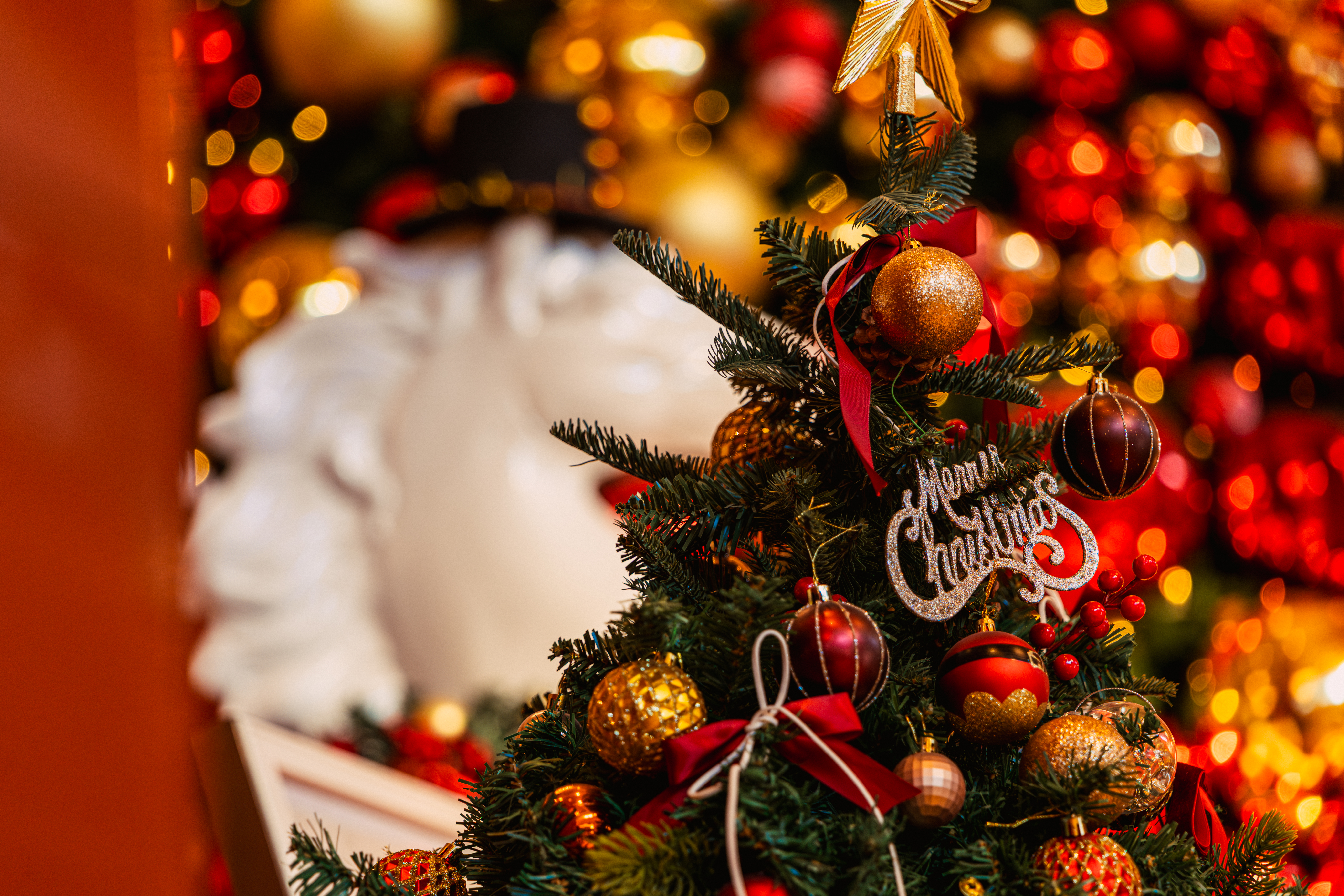 ʥ���������ü��ܻ�ԭ���շ�Χ��