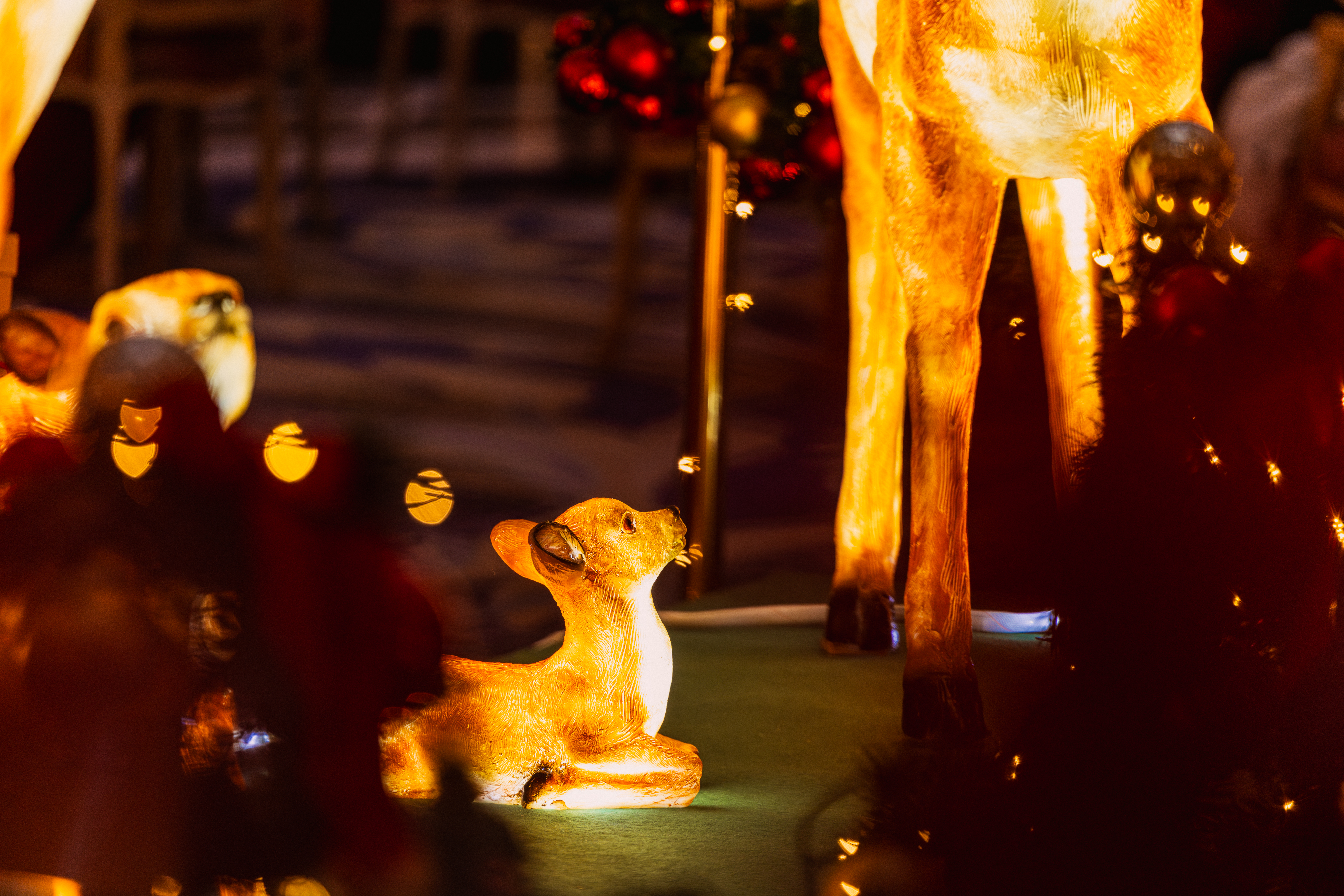 ʥ���������ü��ܻ�ԭ���շ�Χ��