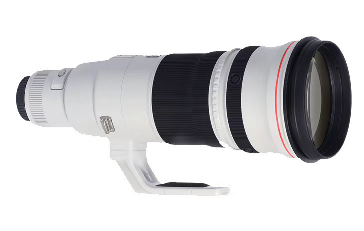 RF 200-500mm f/4L IS USM 1.4x ڽ귢?