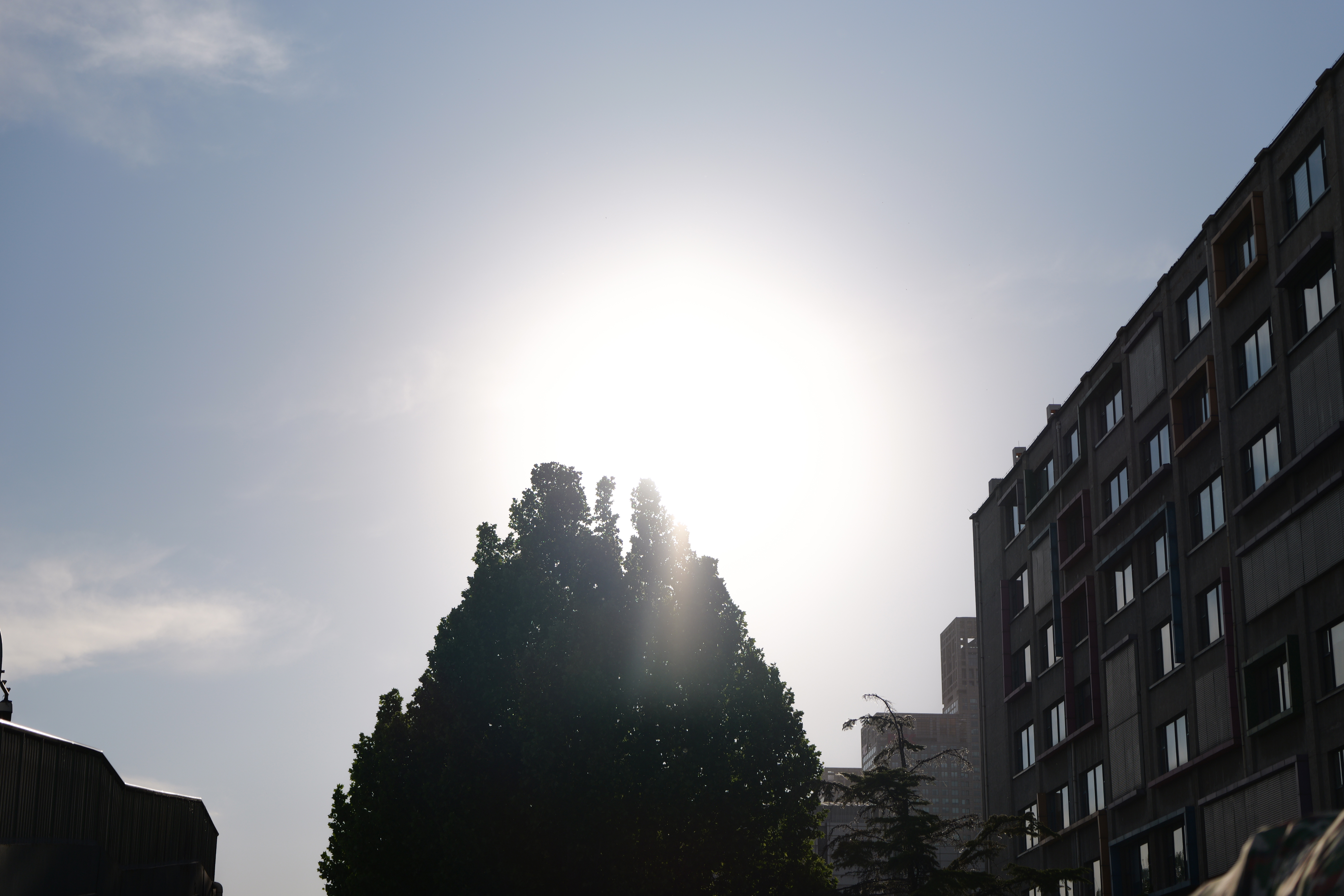 LUMIX S 24-60mm F2.8