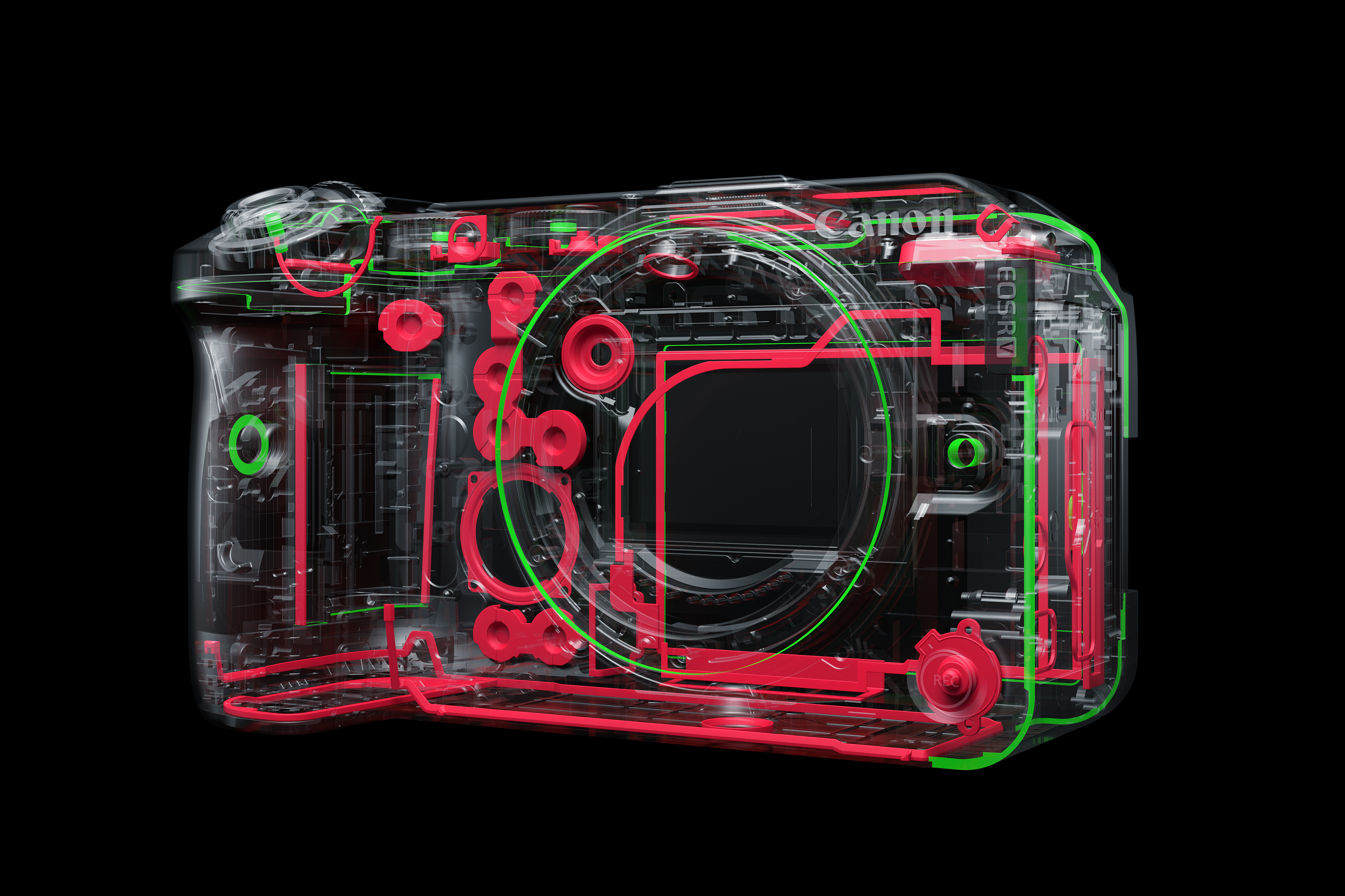 ���ܷ���������Ƶ��EOS R6 V 