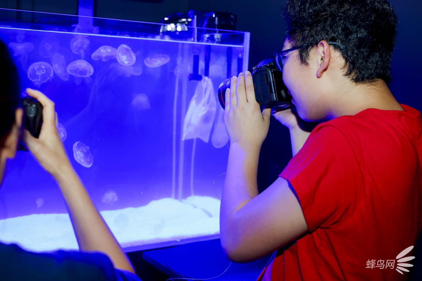 2025����Ӱ����껪֮EOSӰ��������԰�Ϻ���Ļ ����Ӱ��������������