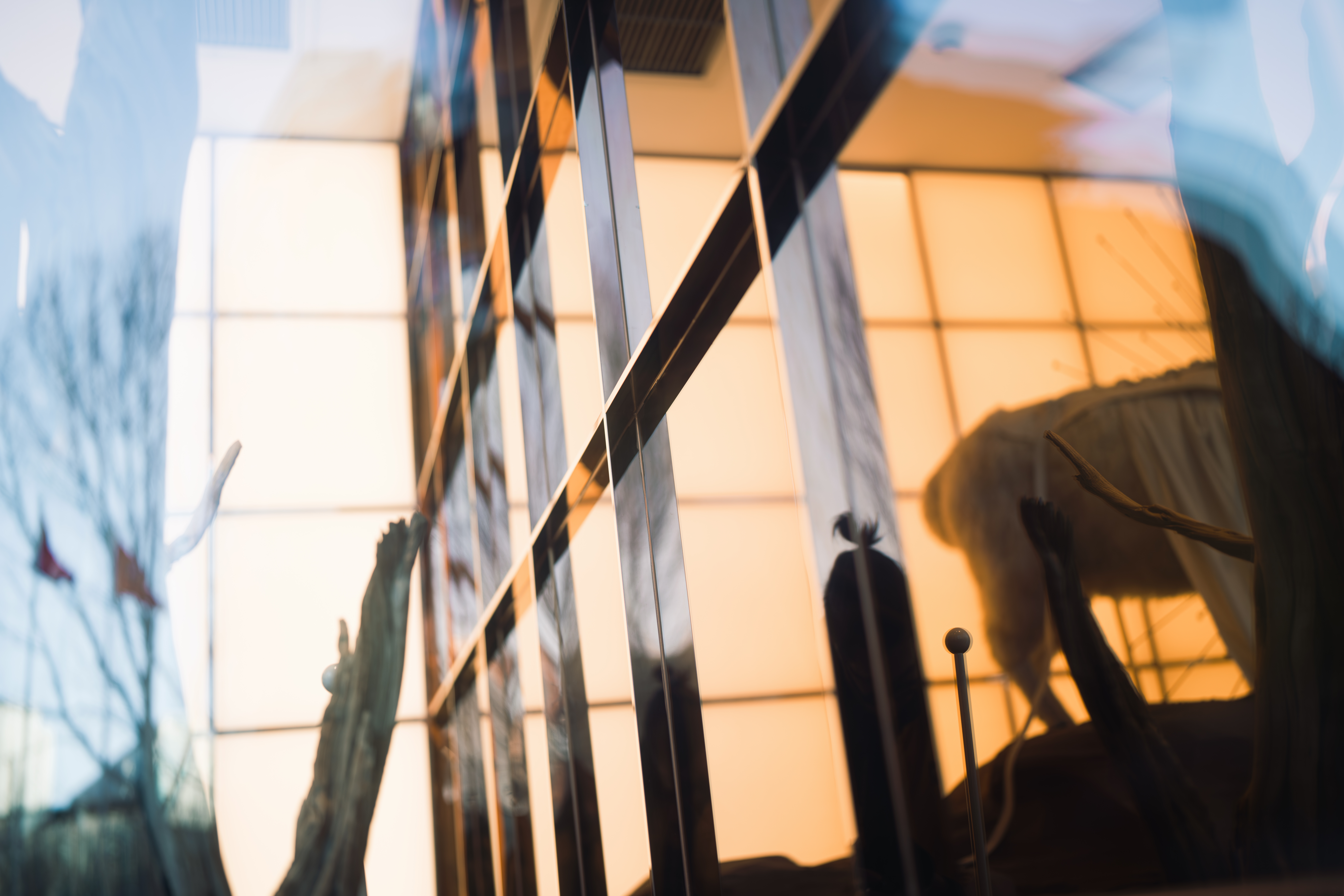 ����35mm F1.4 DG II | Art��������