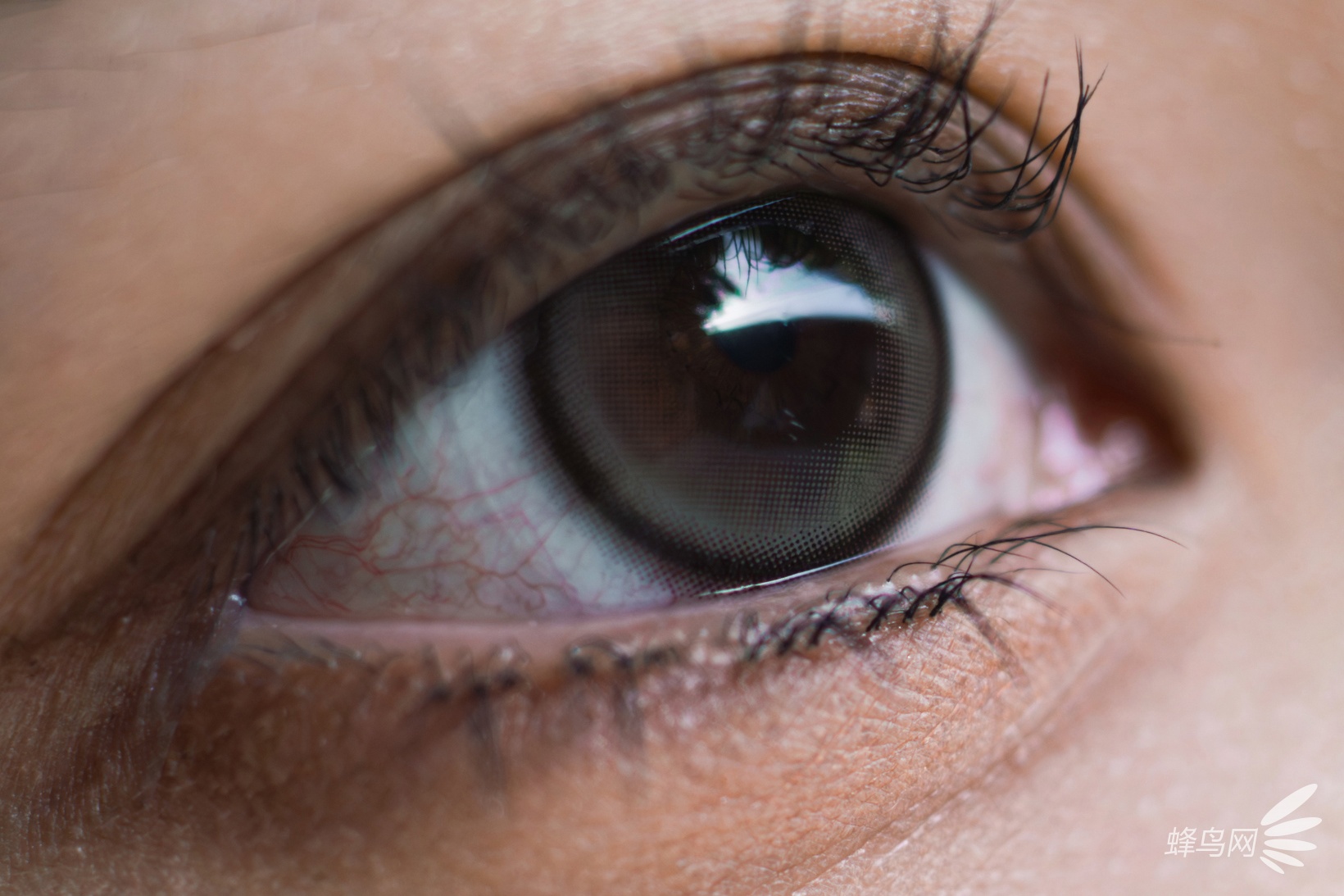 ����35mm F1.4 DG II | Art��������