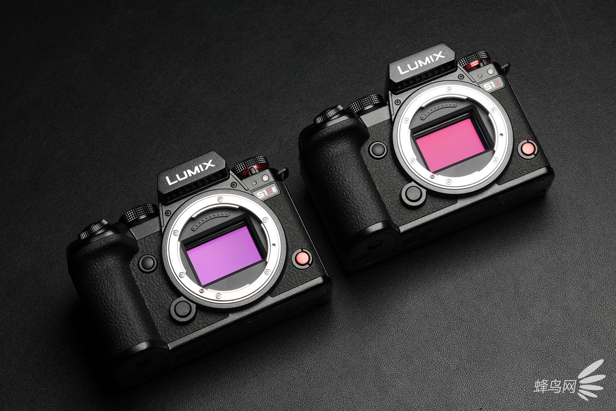 ȫ֮ LUMIX S1M2/S1M2E