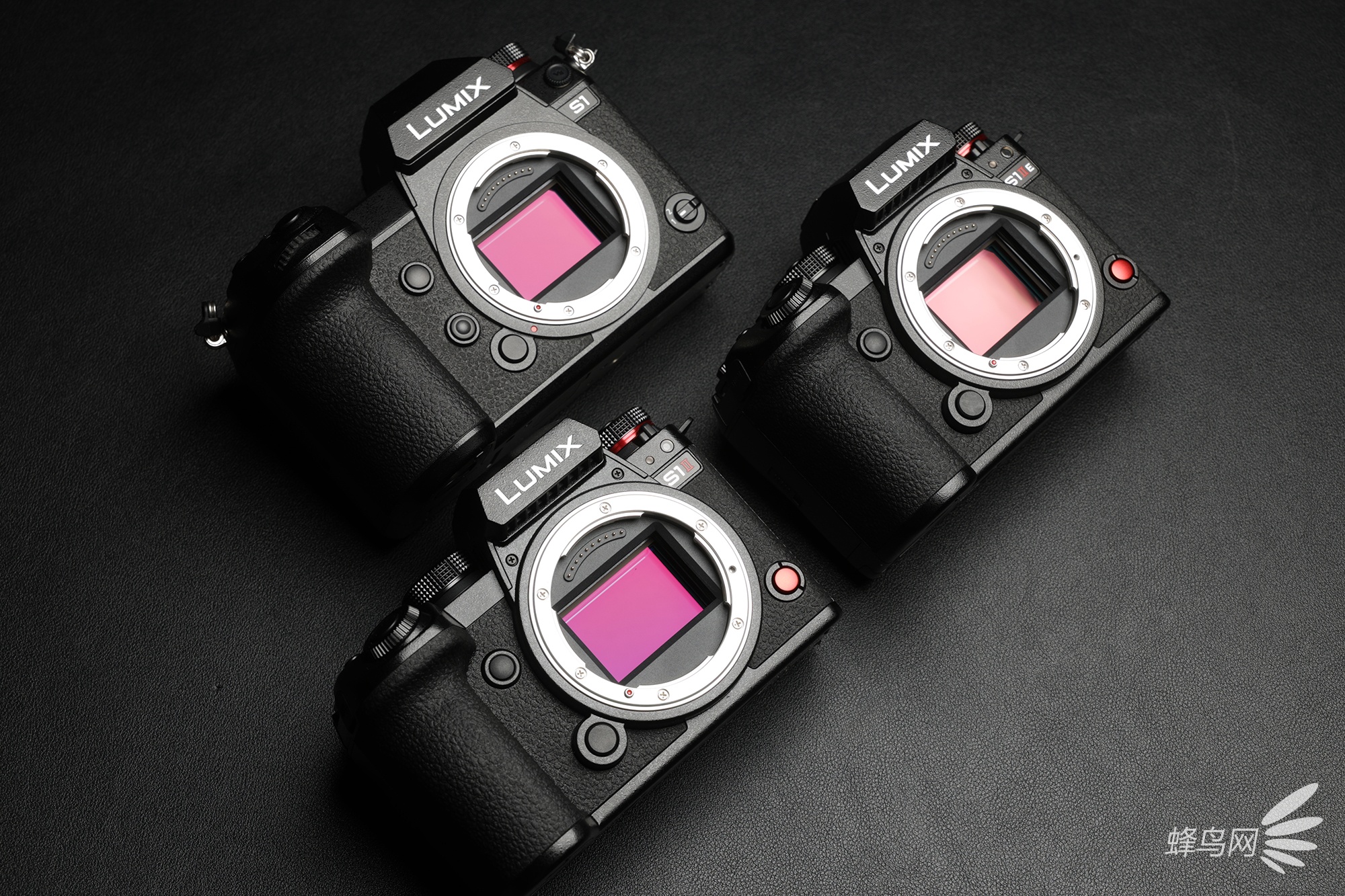 ȫ֮ LUMIX S1M2/S1M2E