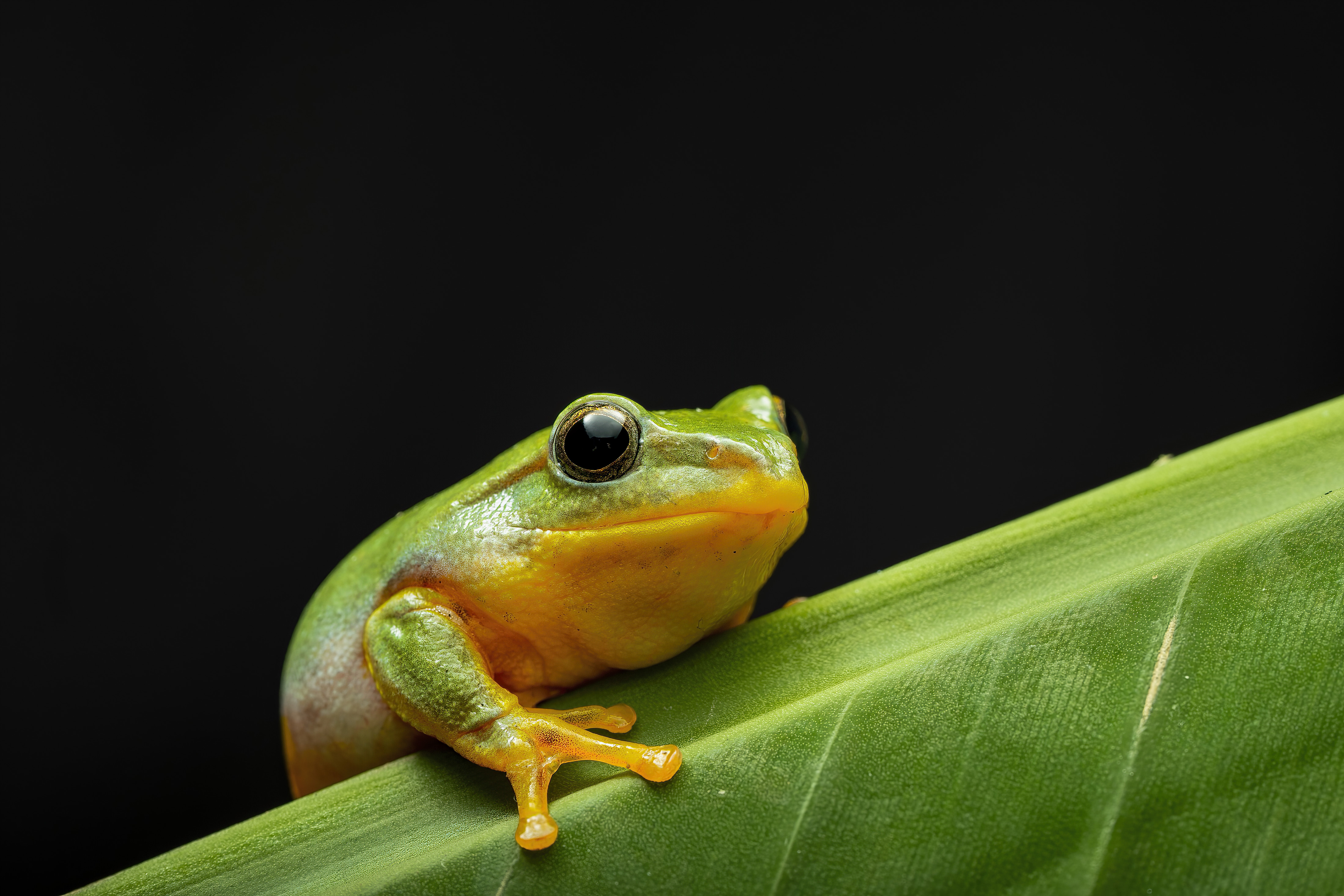 ΢ Լ298ˣȫ100mm F2.8