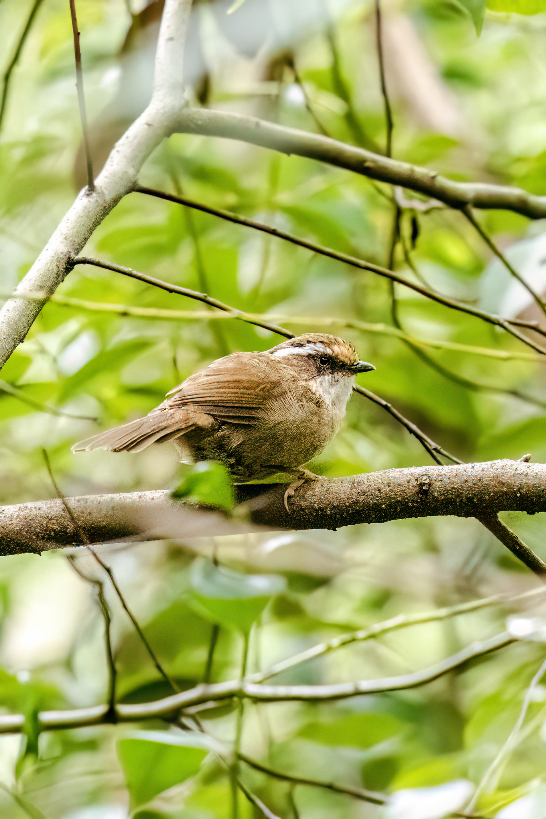 ���ǵ����գ��Է������Ӱд�� ��Ӱ����ס�������� OM-1 MarkII ED 50-200mm F2.8 IS PRO