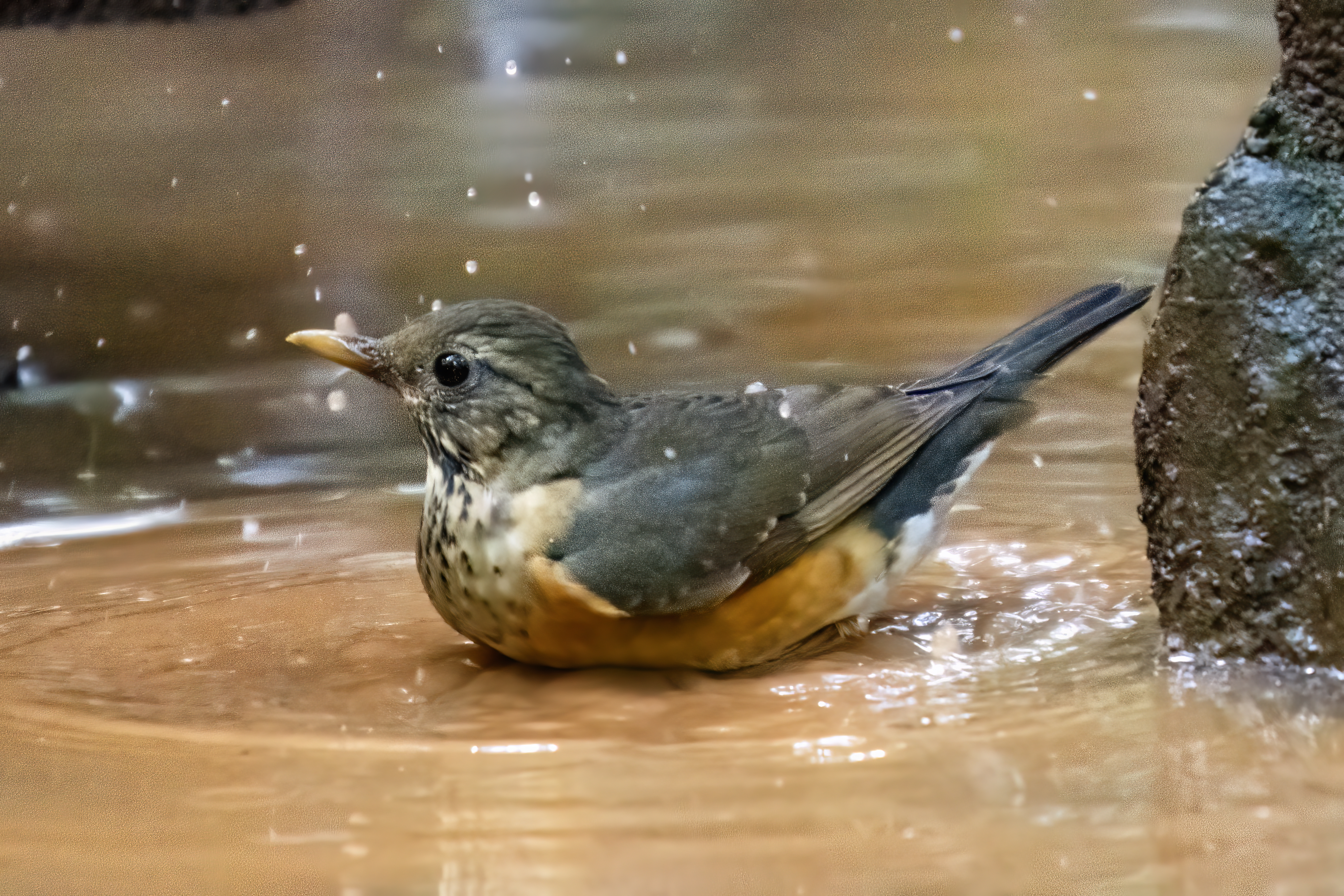 ���ǵ����գ��Է������Ӱд�� ��Ӱ����ס�������� OM-1 MarkII ED 50-200mm F2.8 IS PRO