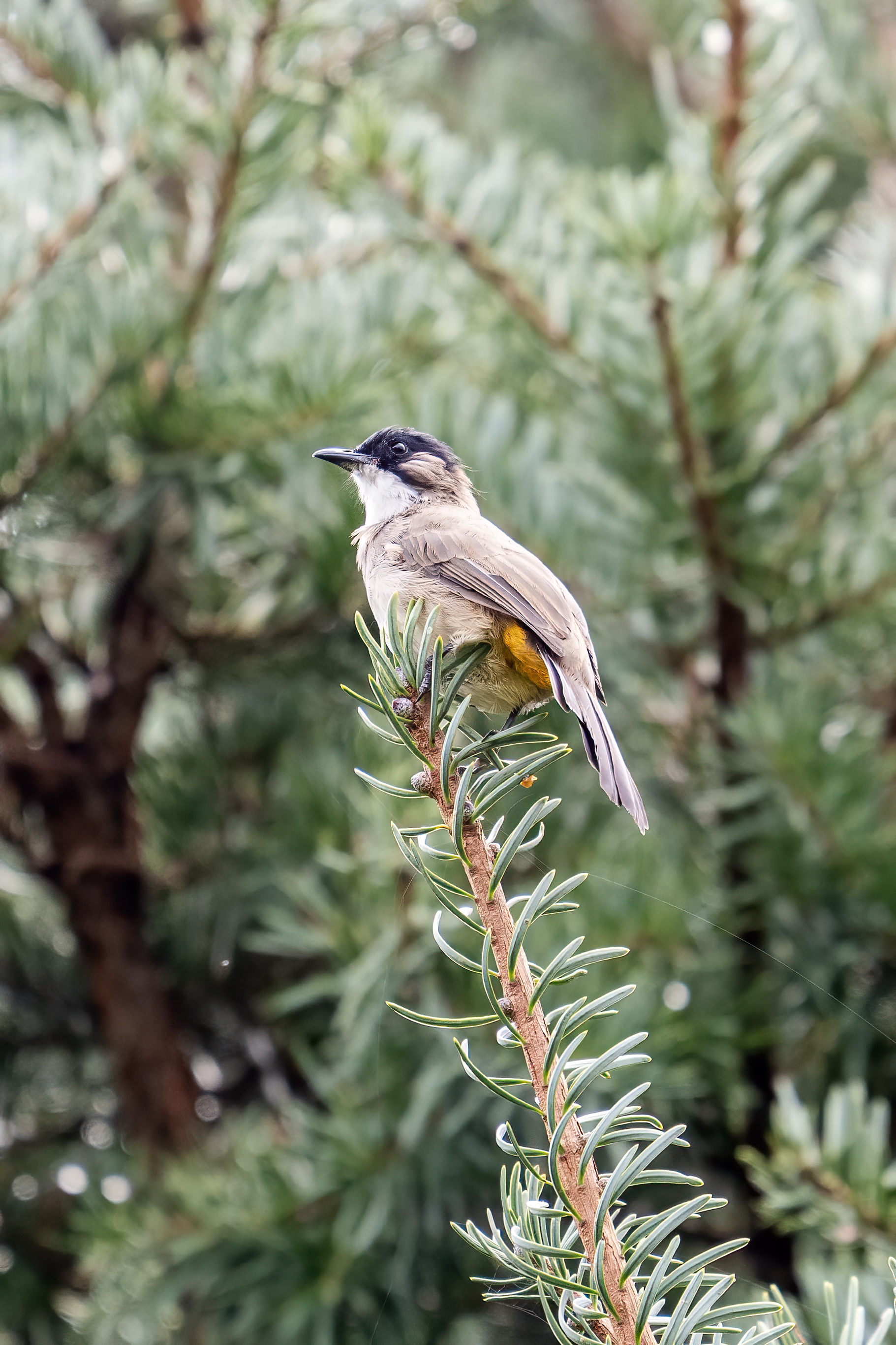 ���ǵ����գ��Է������Ӱд�� ��Ӱ����ס�������� OM-1 MarkII ED 50-200mm F2.8 IS PRO