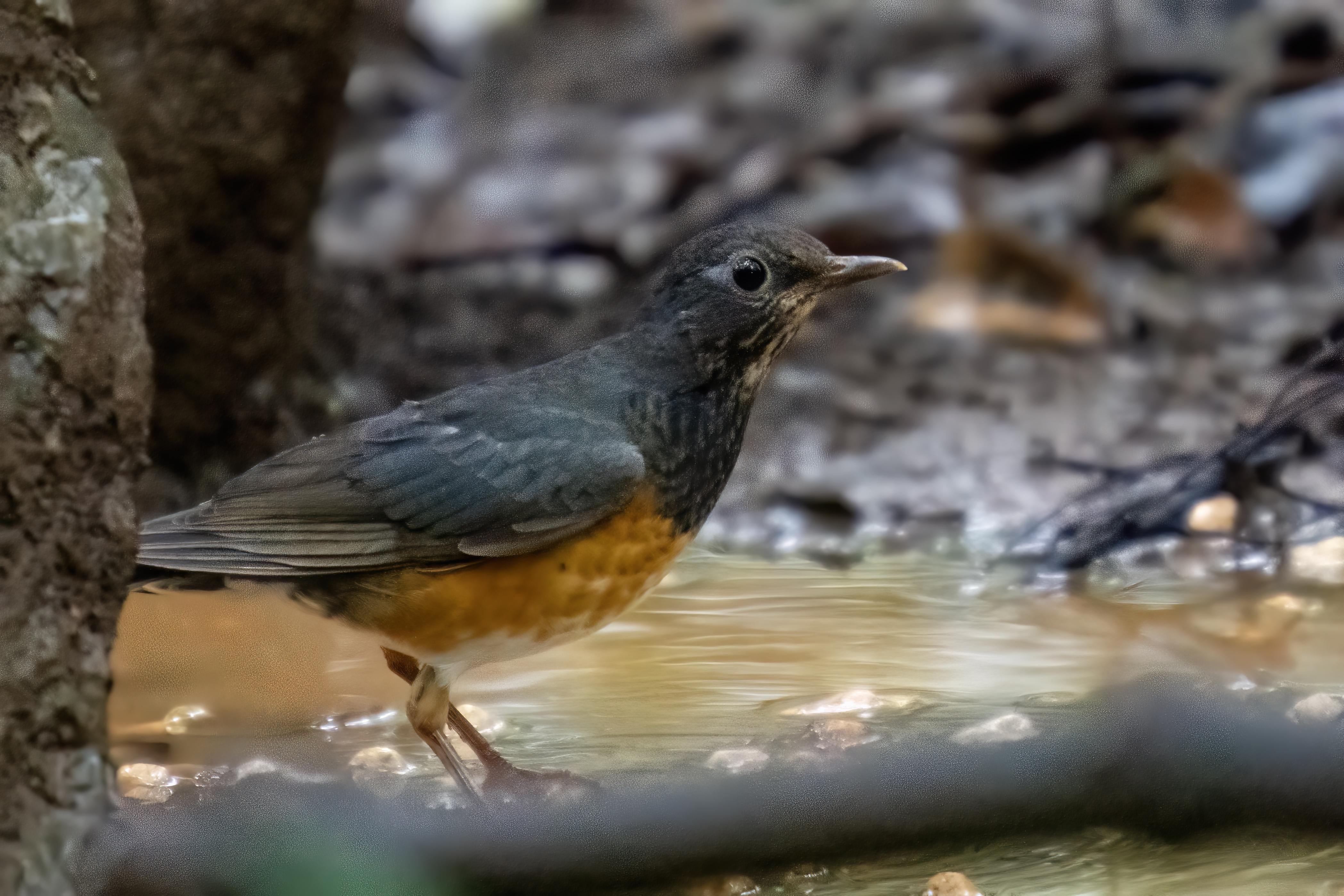 ���ǵ����գ��Է������Ӱд�� ��Ӱ����ס�������� OM-1 MarkII ED 50-200mm F2.8 IS PRO