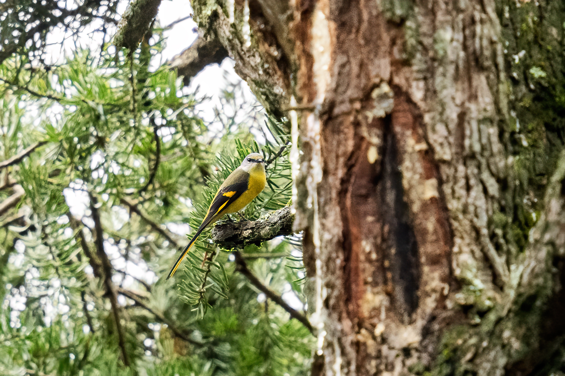 ���ǵ����գ��Է������Ӱд�� ��Ӱ����ס�������� OM-1 MarkII ED 50-200mm F2.8 IS PRO