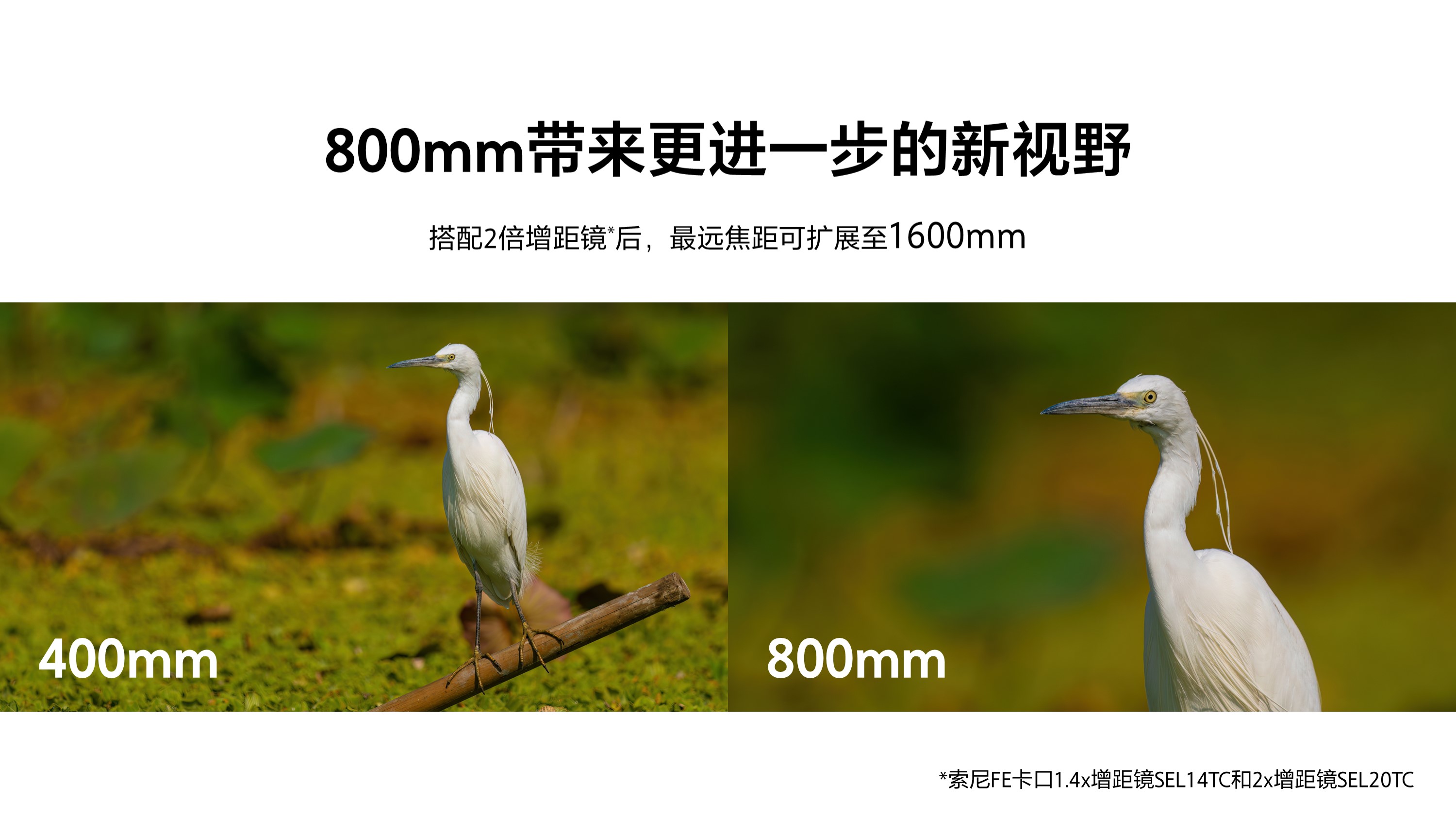 索尼首款800mm超远摄变焦G镜头FE 400-800mm F6.3-8 G OSS 及全画幅大光圈超广角定焦镜头FE 16mm F1.8 G发布
