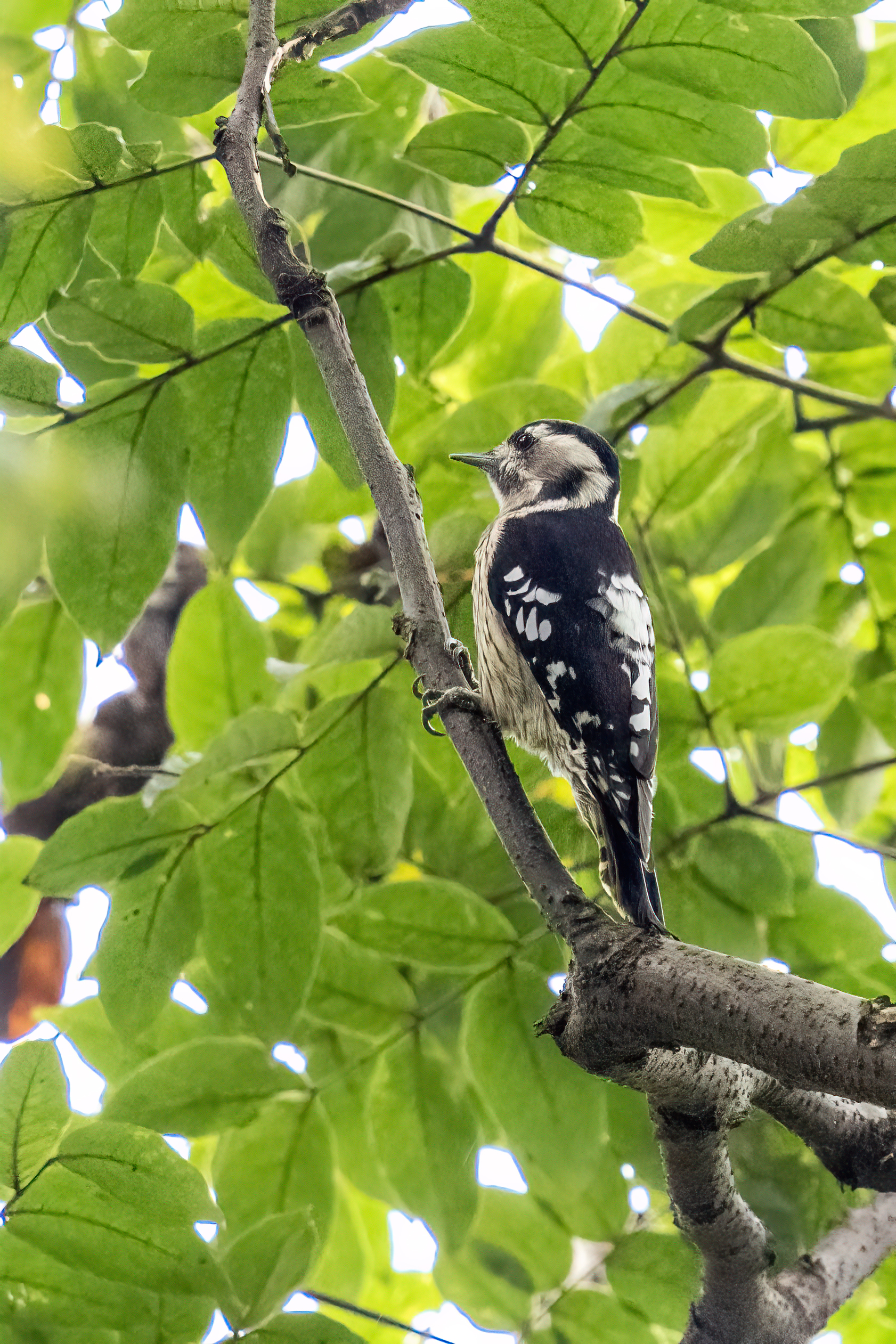 ���ǵ����գ��Է������Ӱд�� ��Ӱ����ס�������� OM-1 MarkII ED 50-200mm F2.8 IS PRO