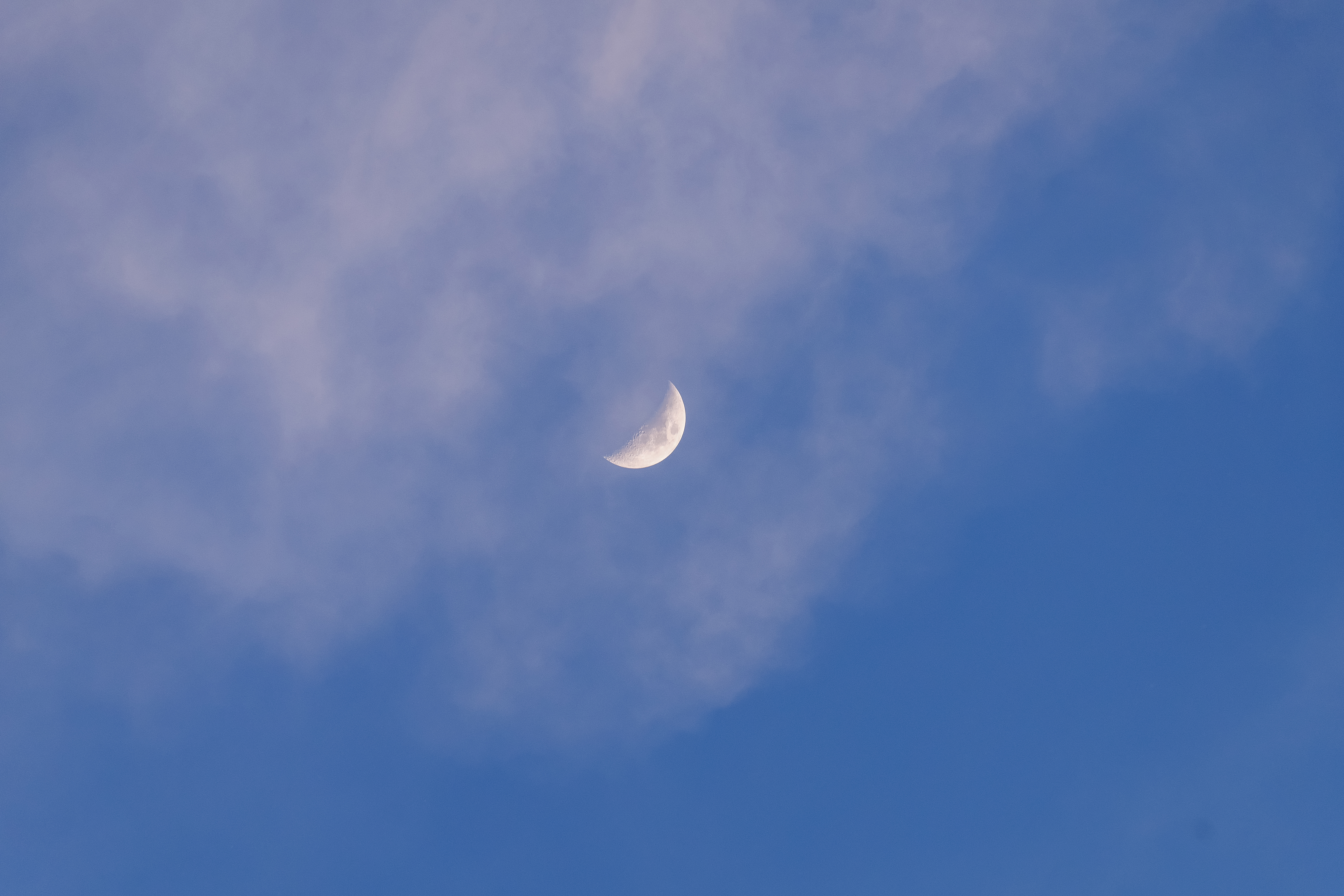 ȫ֮ LUMIX S1M2/S1M2E