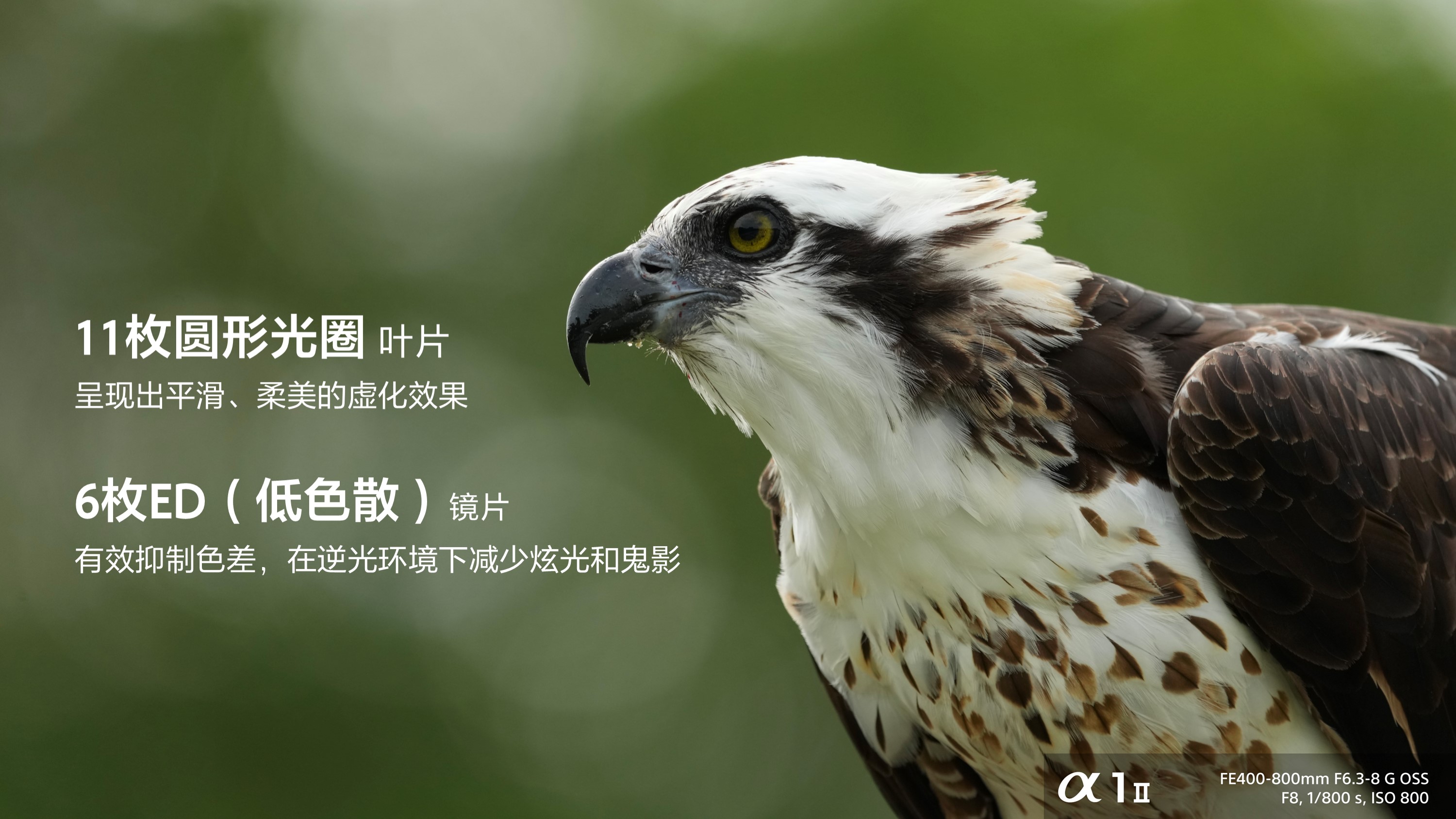 索尼首款800mm超远摄变焦G镜头FE 400-800mm F6.3-8 G OSS 及全画幅大光圈超广角定焦镜头FE 16mm F1.8 G发布