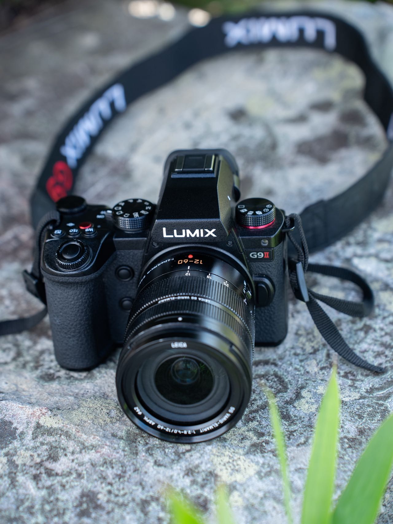 ����G9M2 | ����������ֻ��˲��