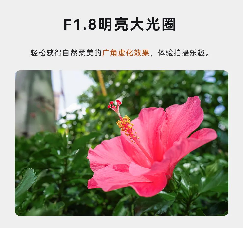 ƷԤ YN16mm F1.8S DA ȦǾͷ