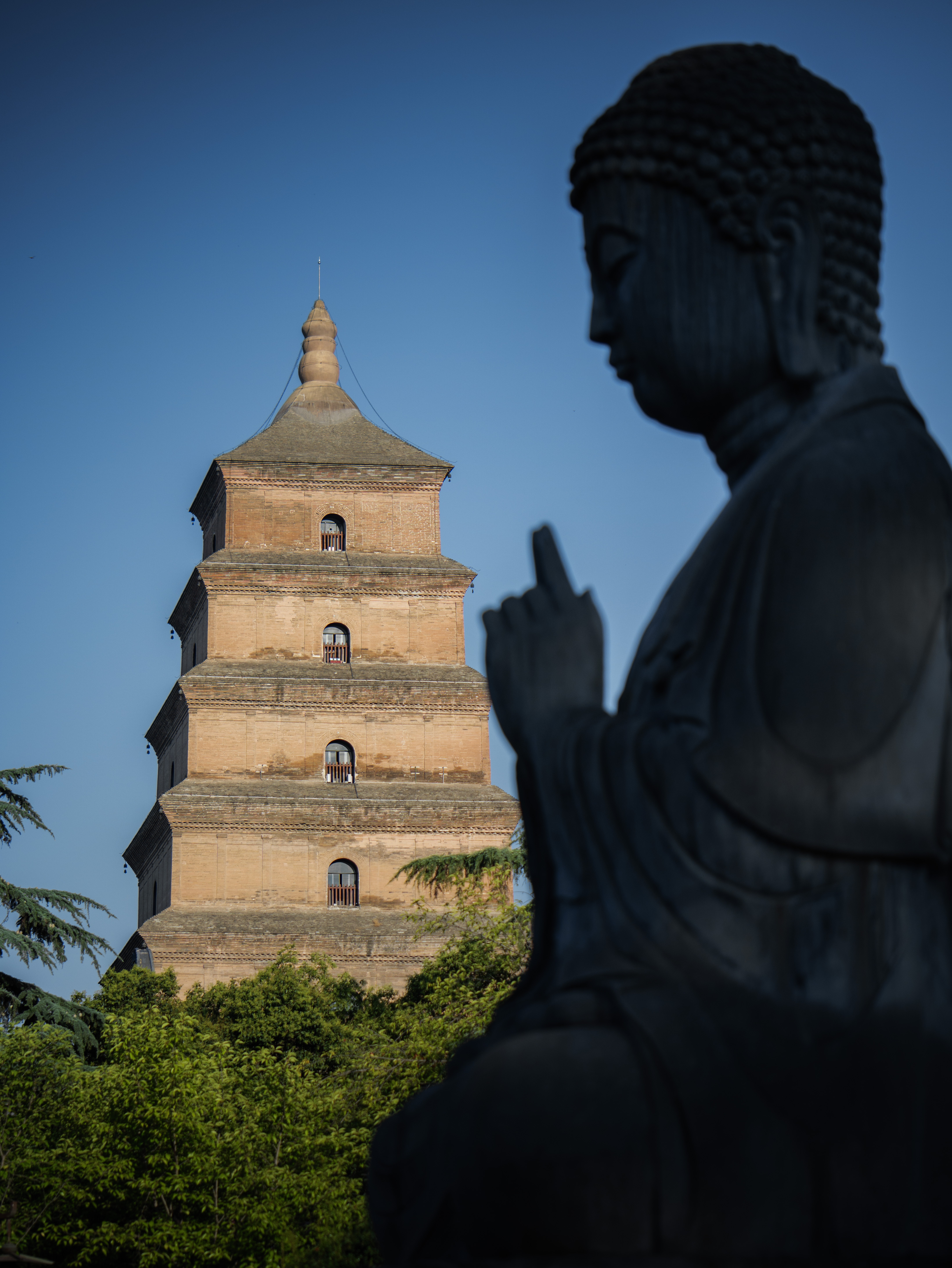 ����G9M2 | ����������ֻ��˲��