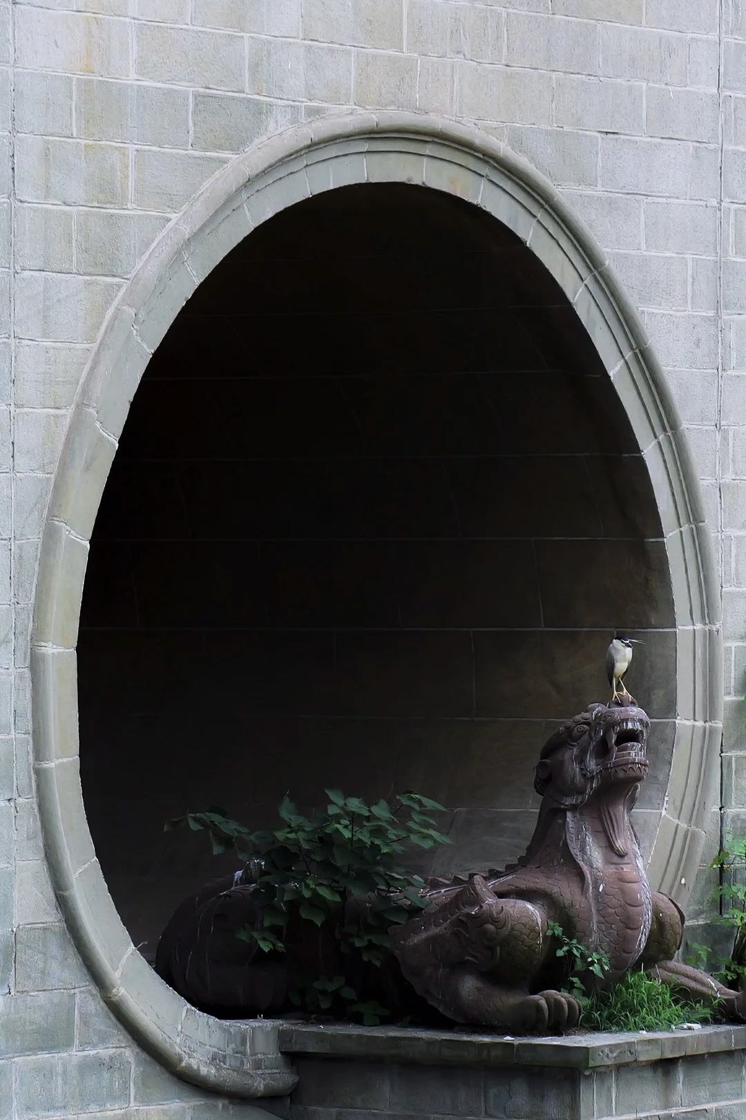 ����G9M2 | ����������ֻ��˲��