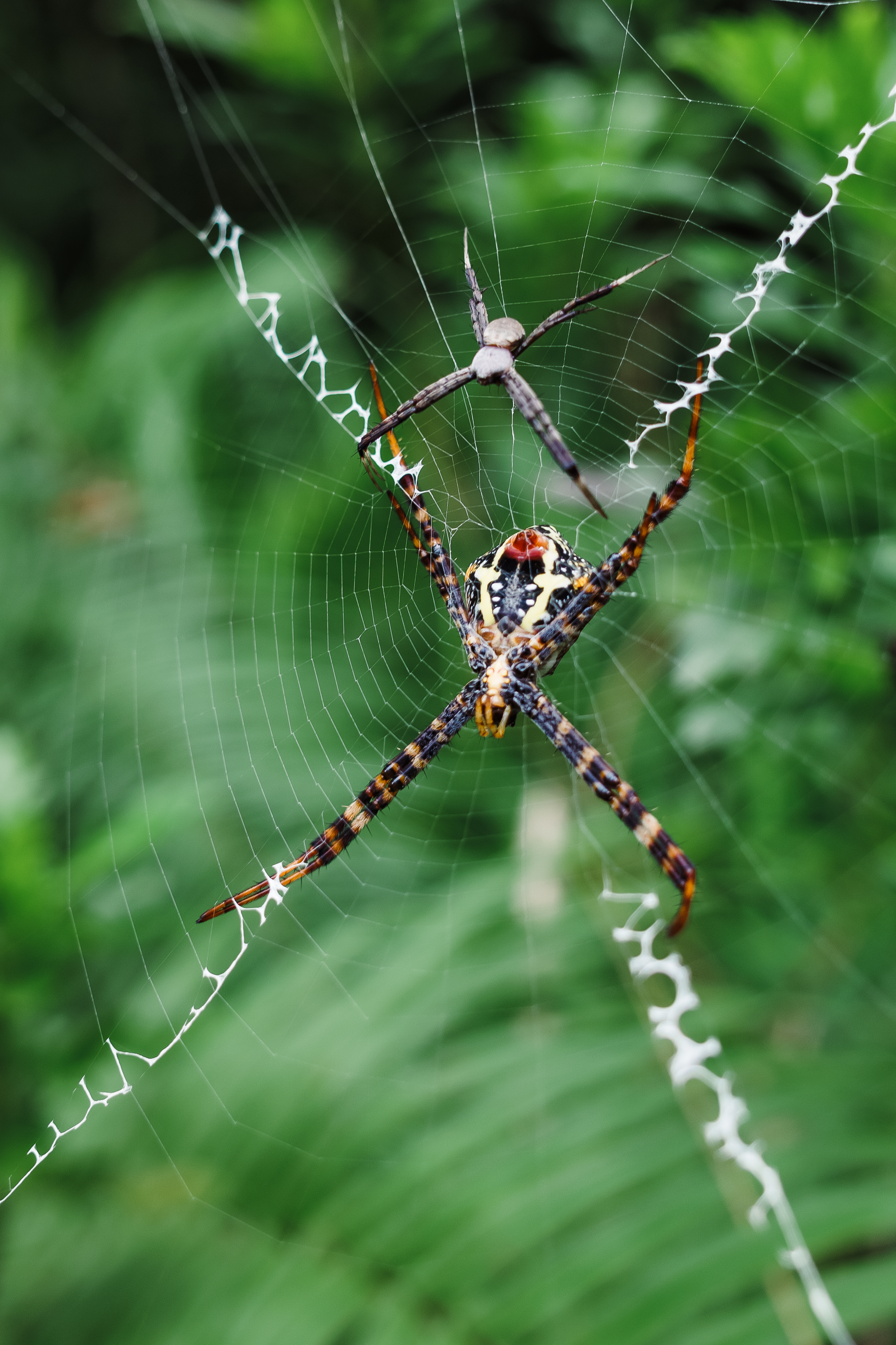 ����G9M2 | ����������ֻ��˲��