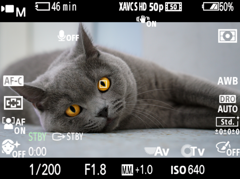 索尼发布Vlog微单TM ZV-E10新固件 支持视频动物眼部对焦