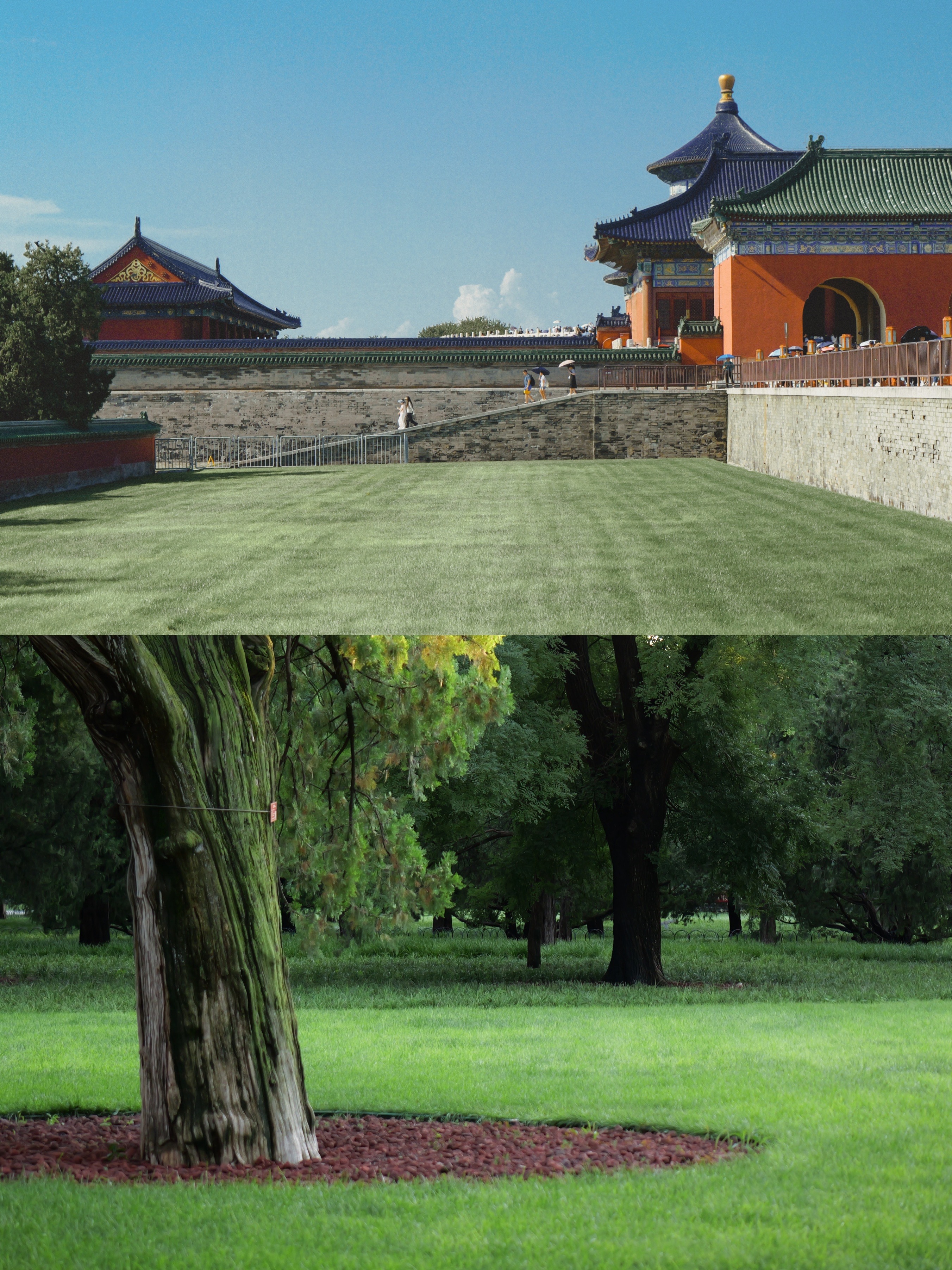 ����G9M2 | ����������ֻ��˲��