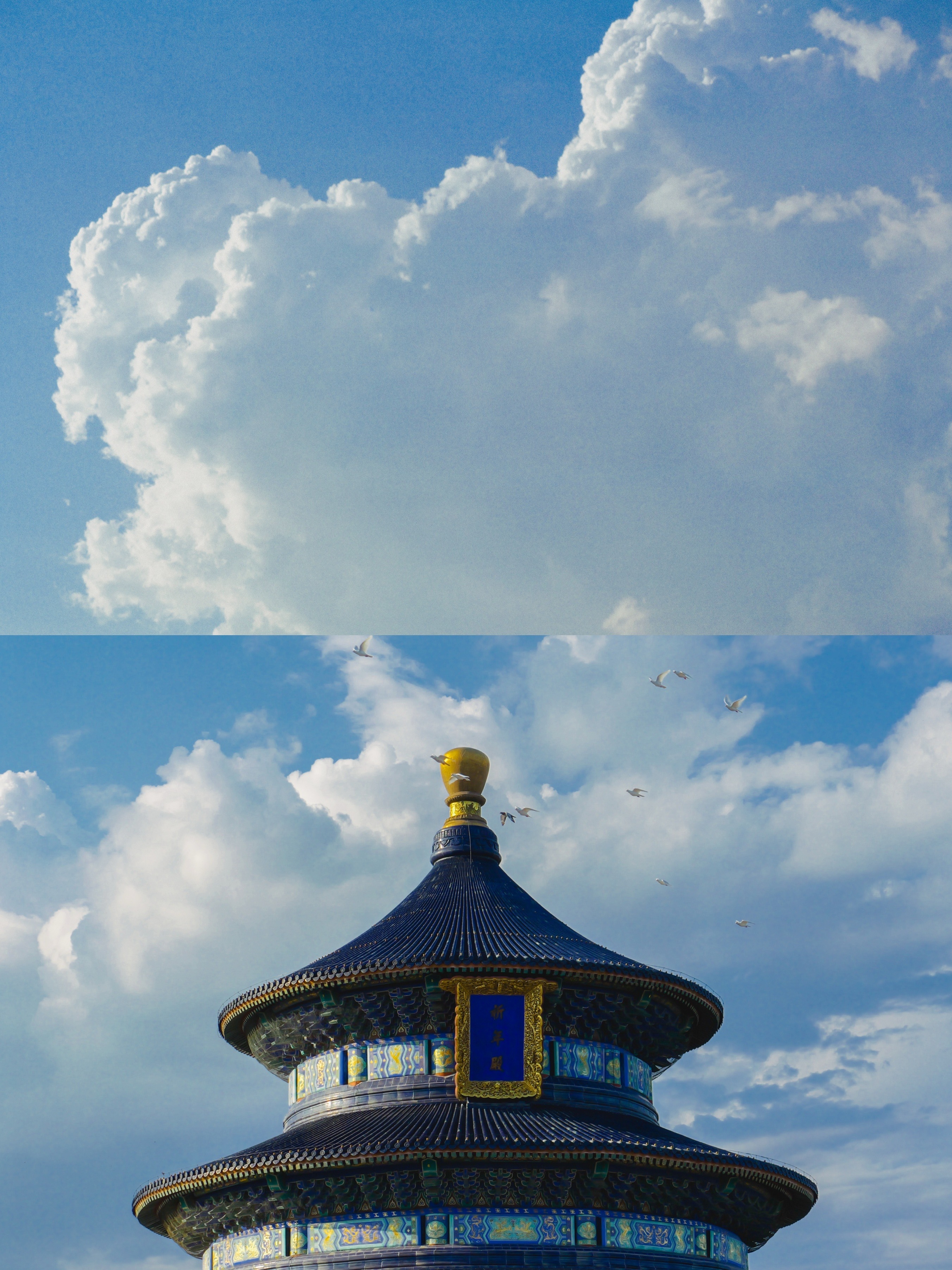 ����G9M2 | ����������ֻ��˲��