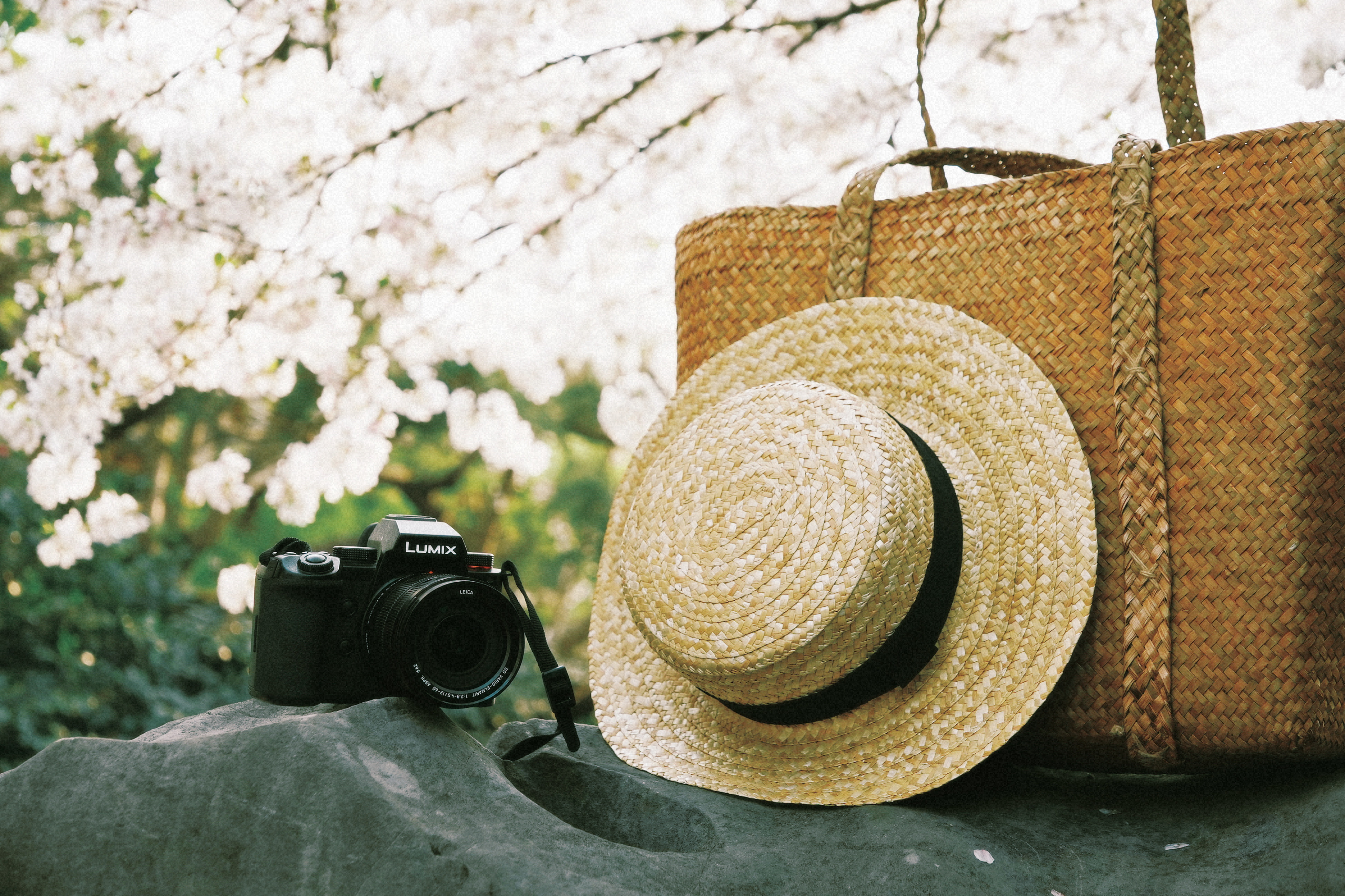 ����G9M2 | ����������ֻ��˲��