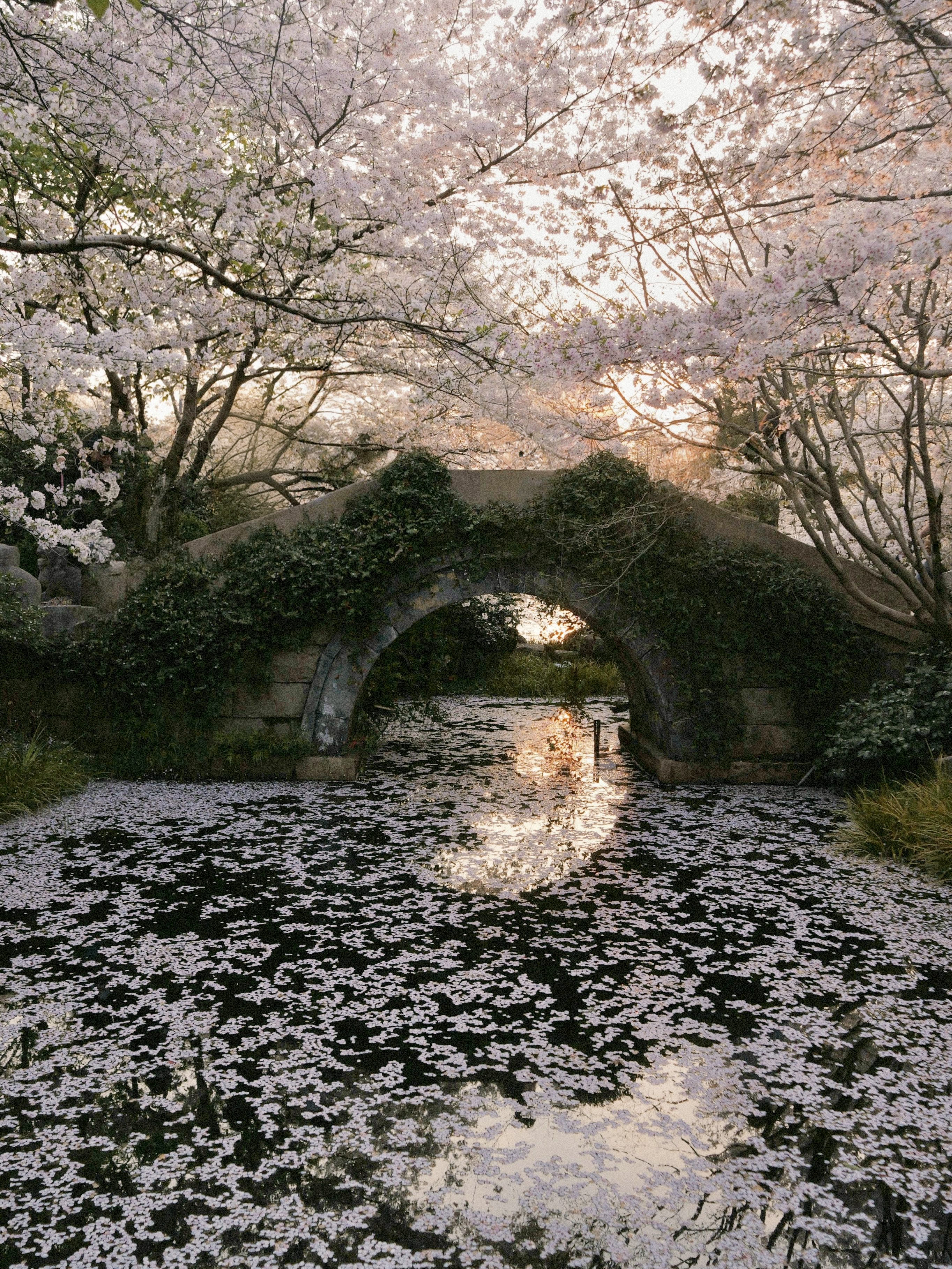 ����G9M2 | ����������ֻ��˲��