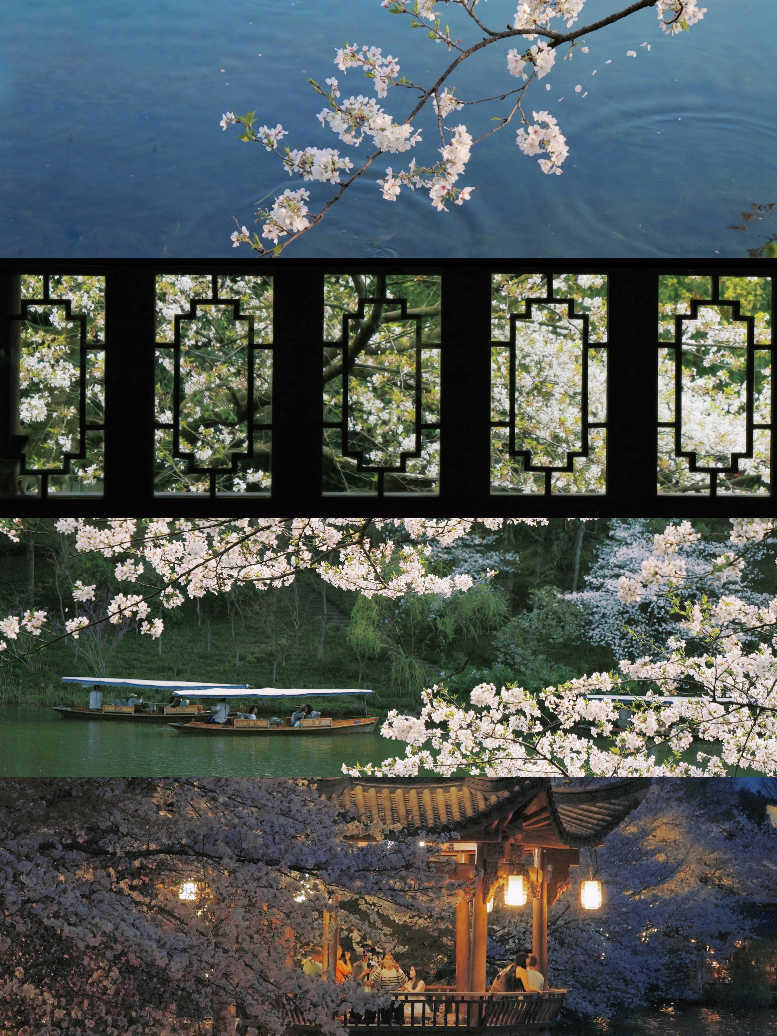 ����G9M2 | ����������ֻ��˲��