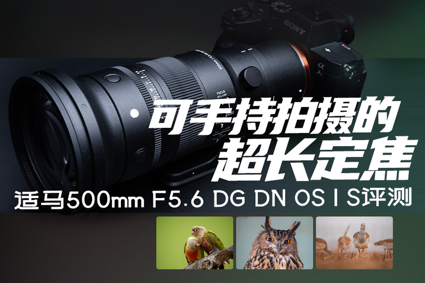 ֳĳ 500mm F5.6 DG DN OS | S