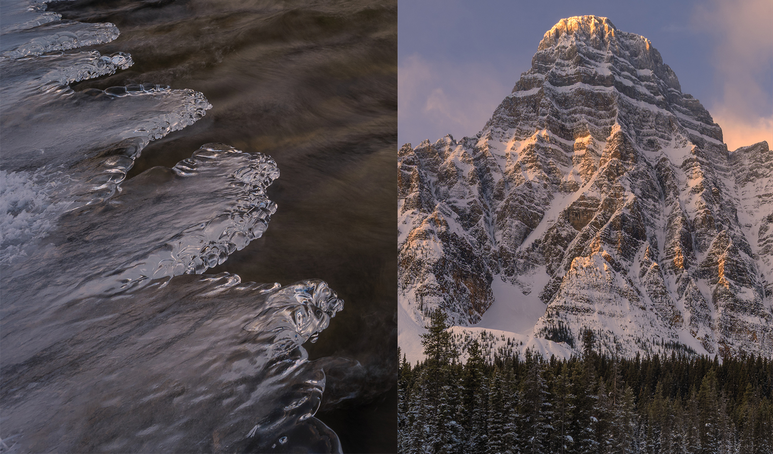 ѩԭ�ϵĹ�Ӱ����  ��ʿGFX100 II