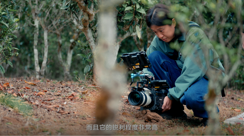 CineAltaBFE 50-150mm F2 GM ָɼѼ¼ƬӰޡ