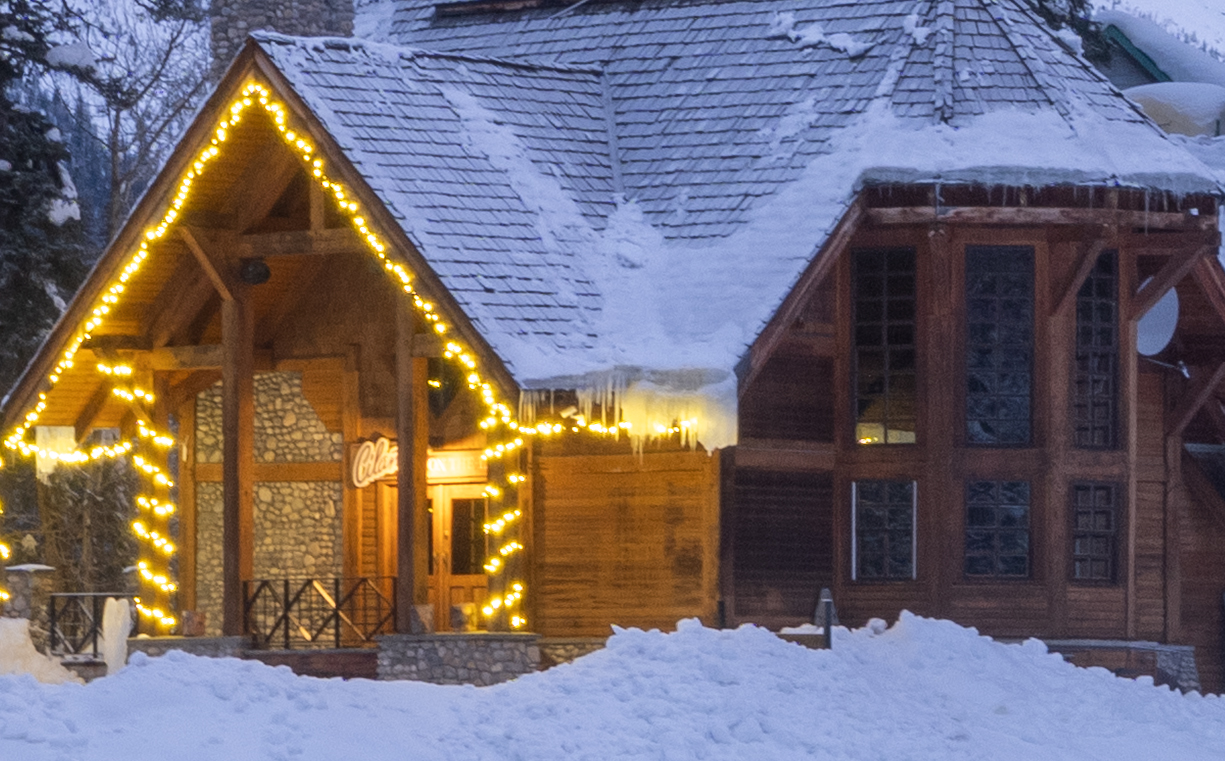 ѩԭ�ϵĹ�Ӱ����  ��ʿGFX100 II