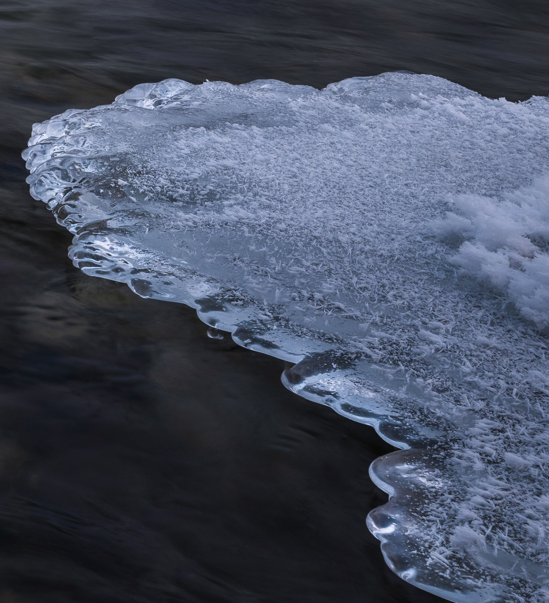 ѩԭ�ϵĹ�Ӱ����  ��ʿGFX100 II