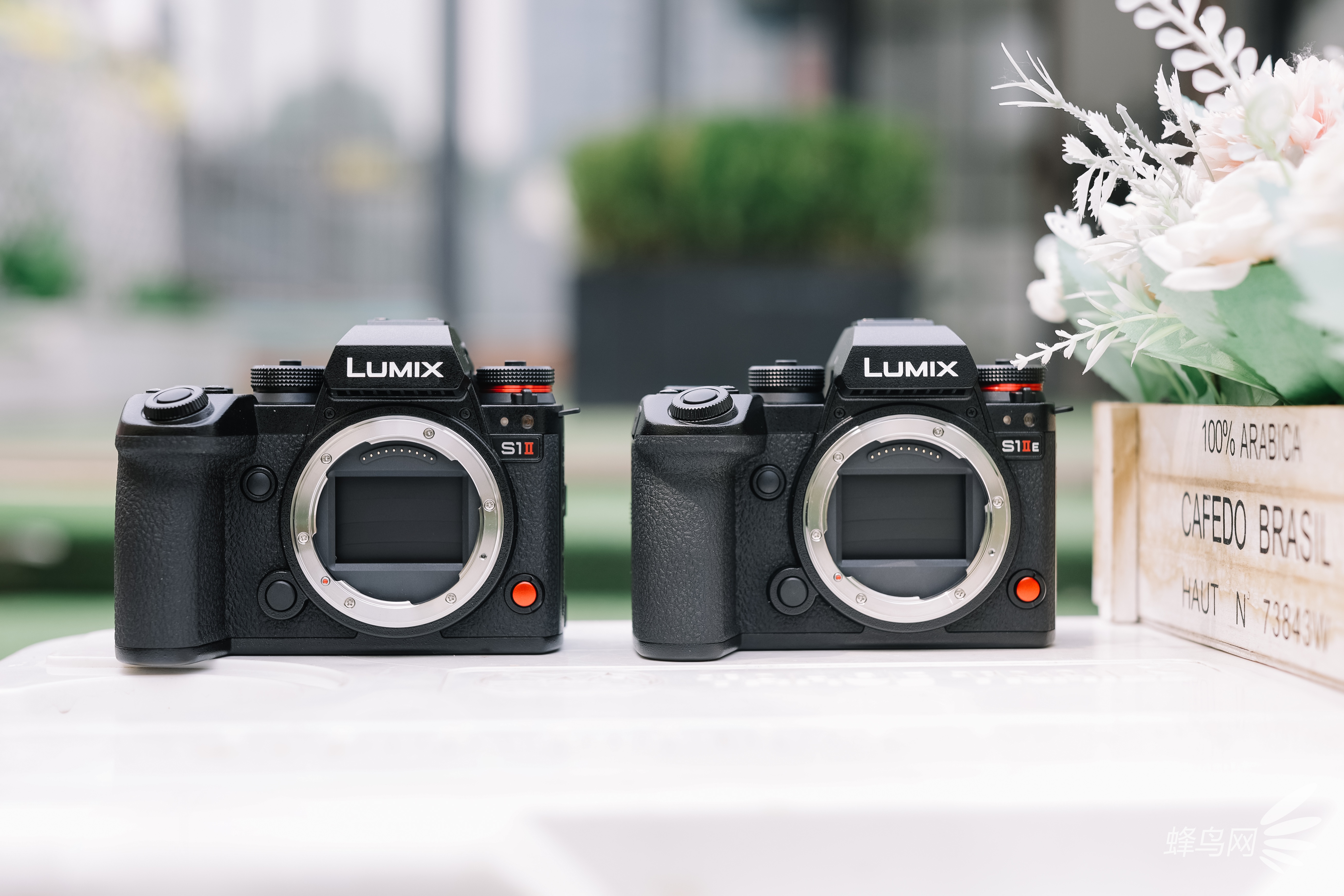 ȫ֮ LUMIX S1M2/S1M2E
