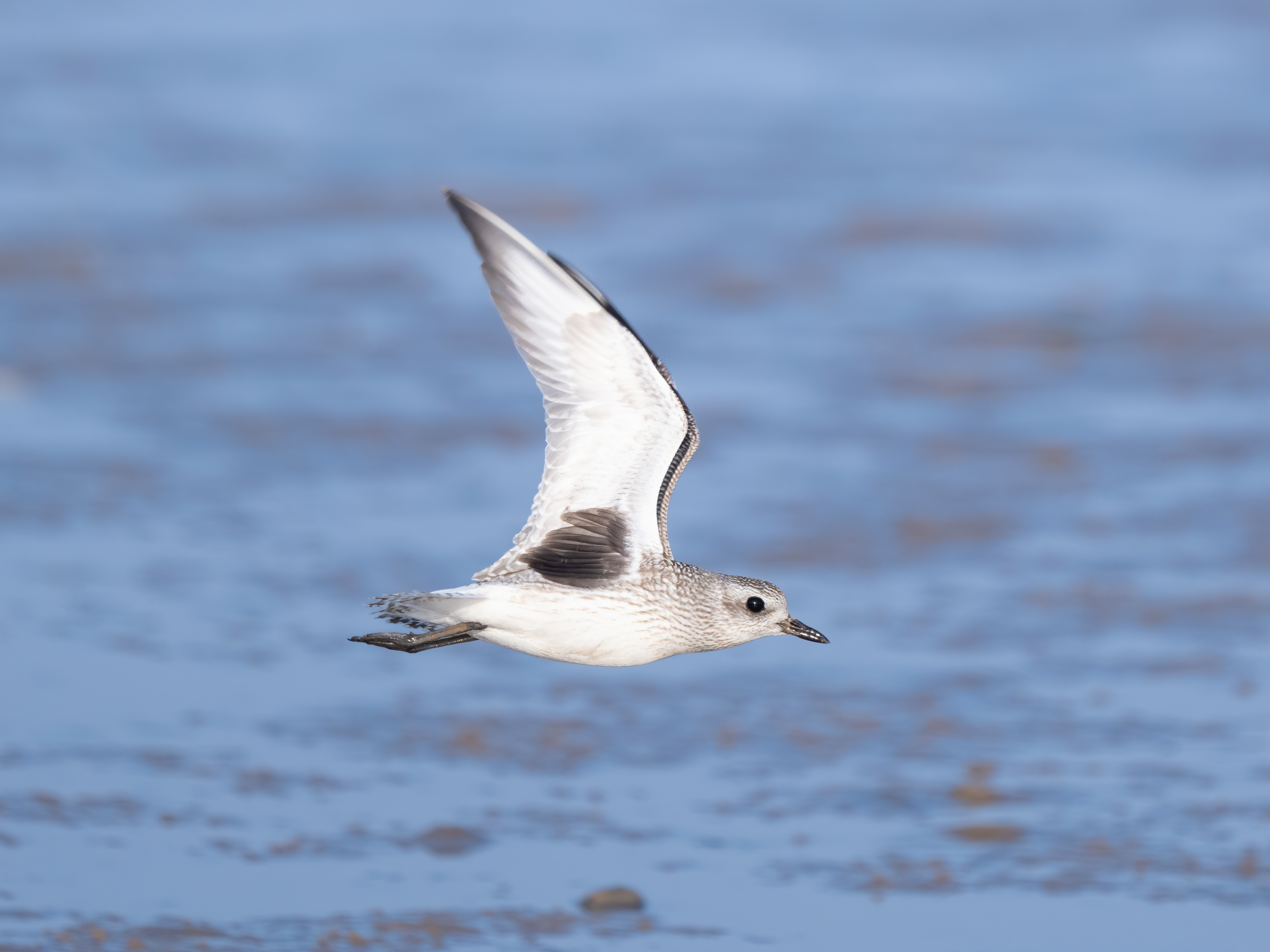 ��ʿGFX100 II�л��� ������̬��Ӱ����