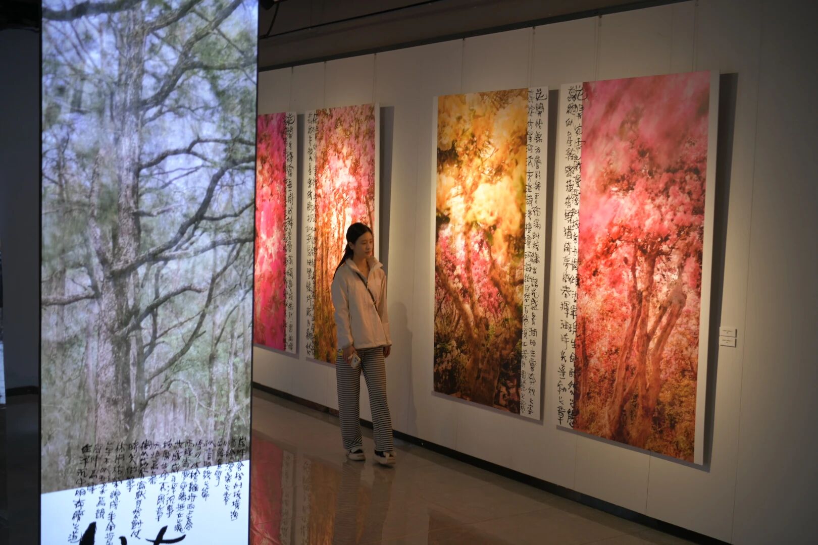 ��Խɽ�����Ի������������й����żҽ硱�����������Ų���Ӱ��չ��ɽˮʤ������Ļ